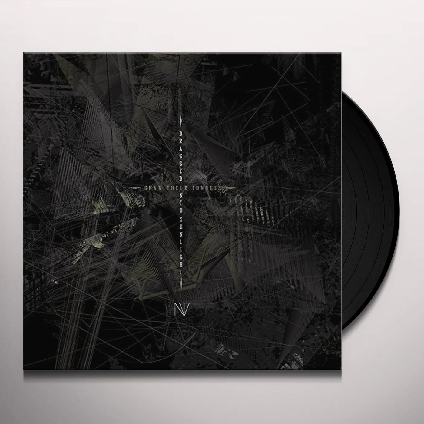 Dragged Into Sunlight NV Vinyl Record