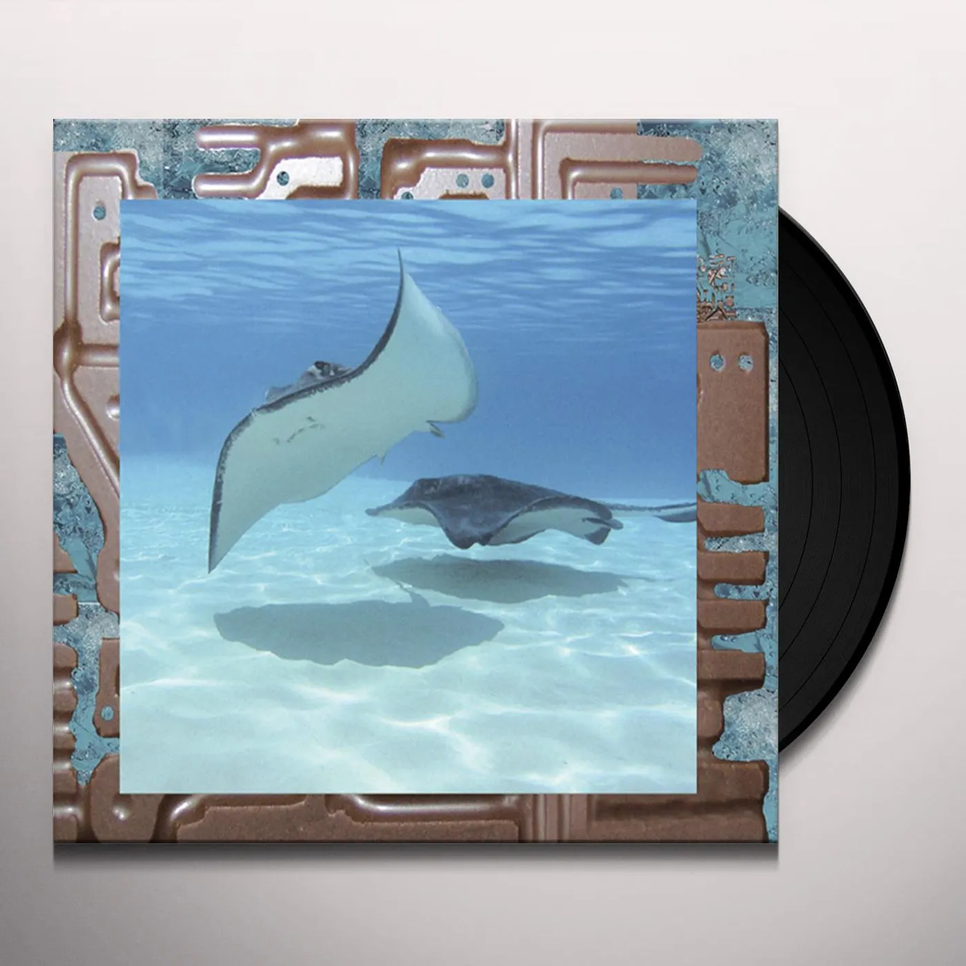 James Ferraro REREX Vinyl Record