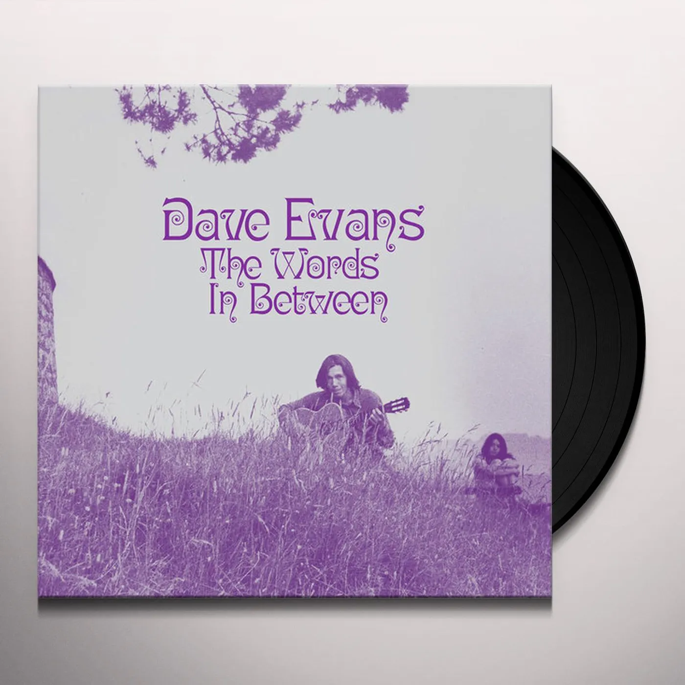 Dave Evans The Words In Between Vinyl Record