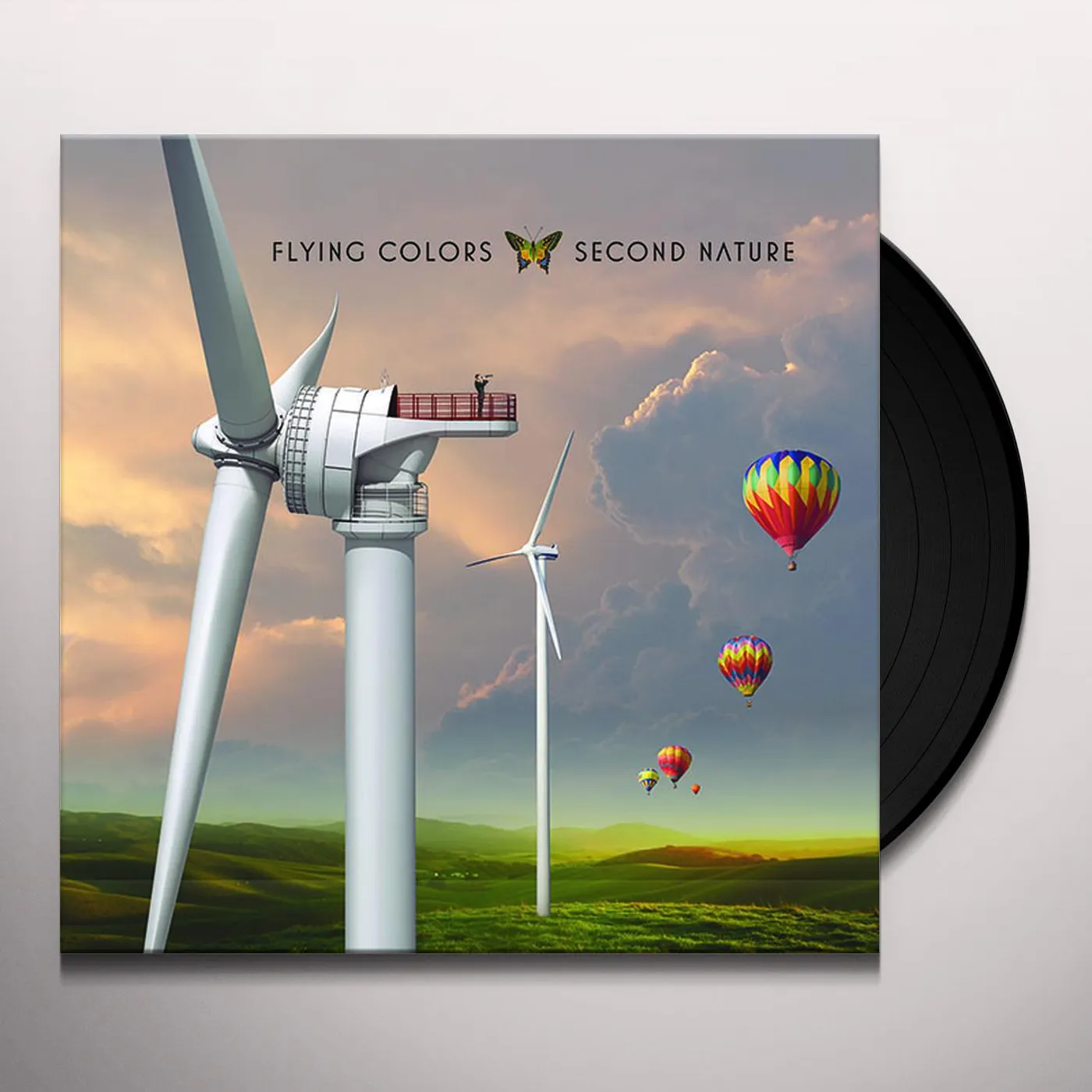 Flying Colors Second Nature Vinyl Record