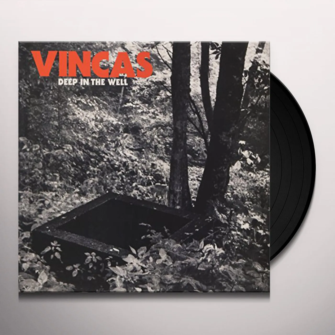 Vincas Deep in the Well Vinyl Record