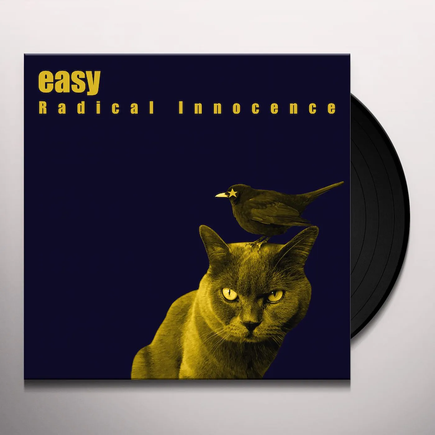 Easy Radical Innocence Vinyl Record