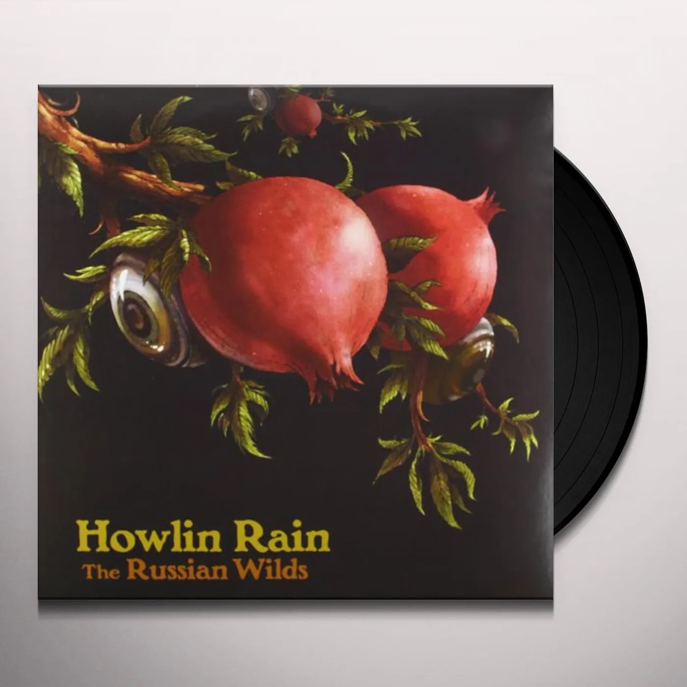 Howlin Rain RUSSIAN WILDS Vinyl Record