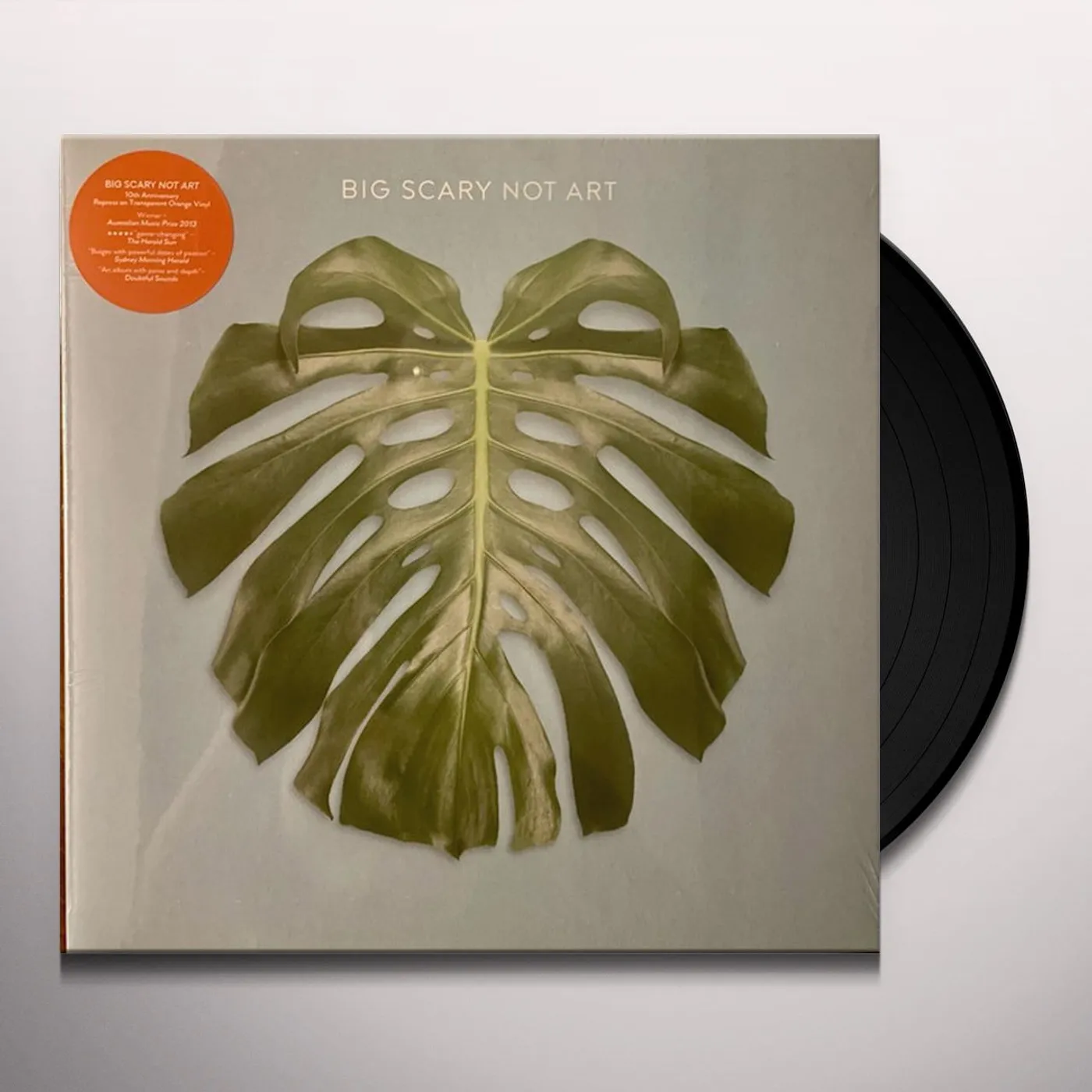 Big Scary NOT ART Vinyl Record