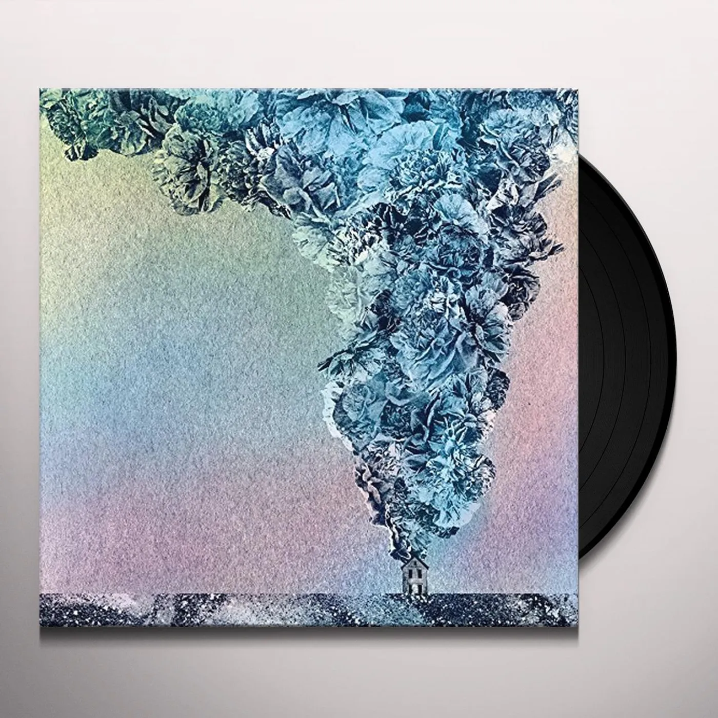 Daughn Gibson Carnation Vinyl Record