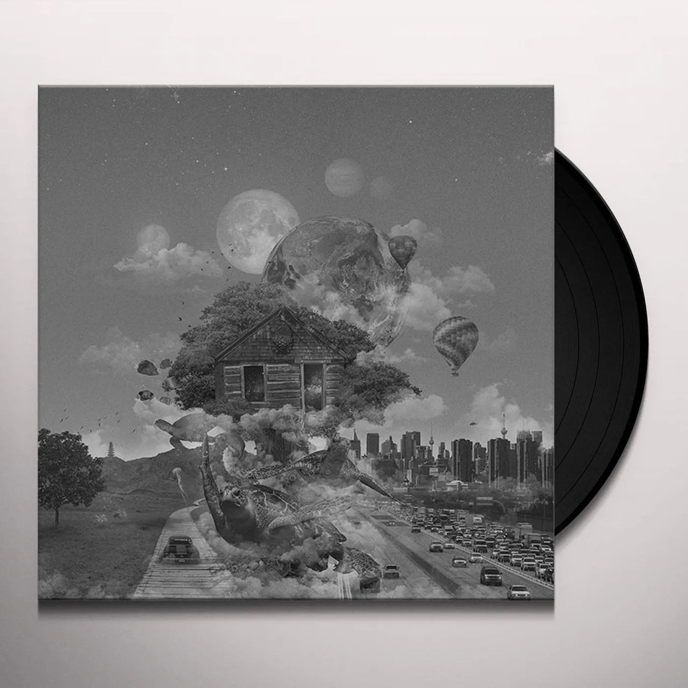 Nadia Struiwigh WHRRu Vinyl Record