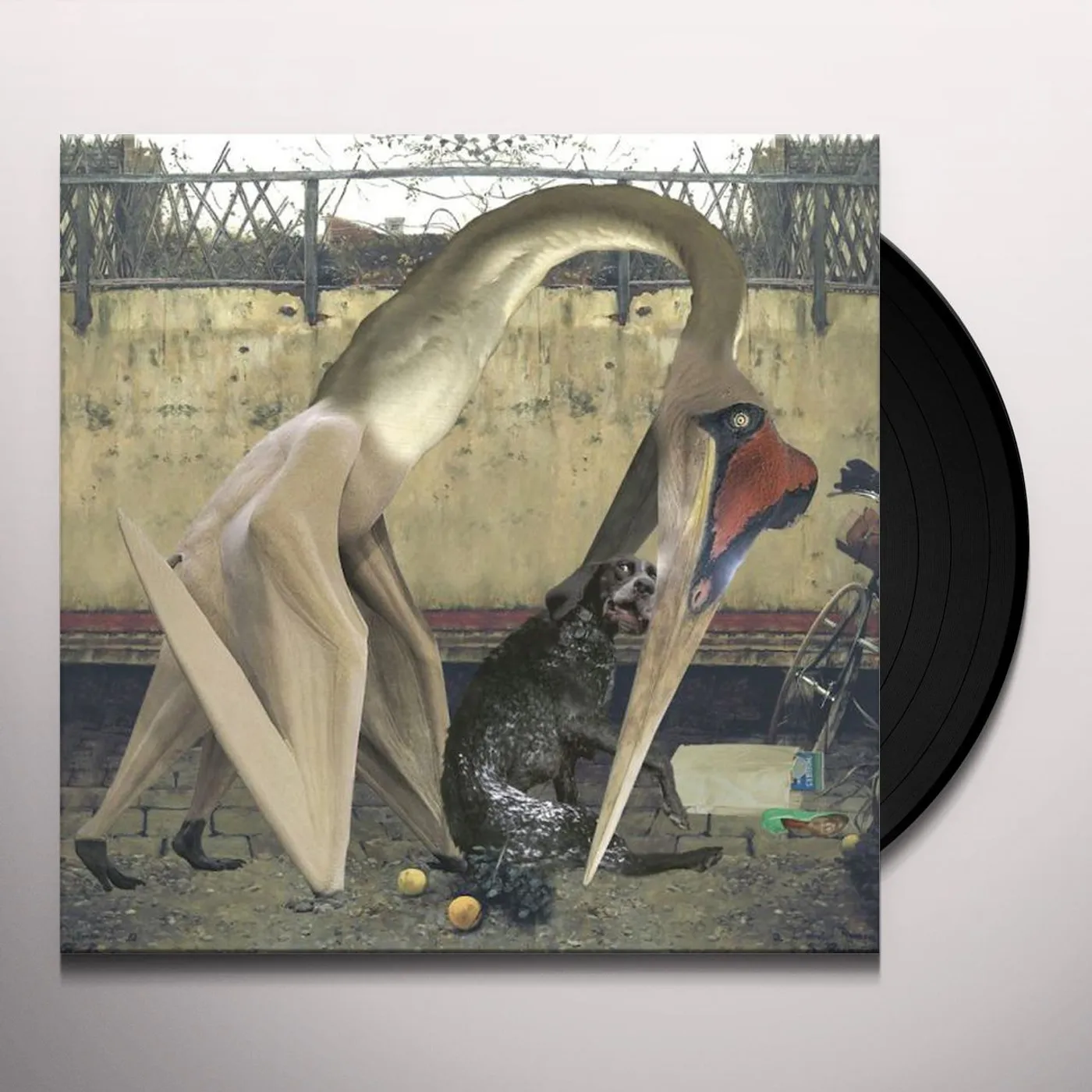 Rhadoo SEMANTICS Vinyl Record