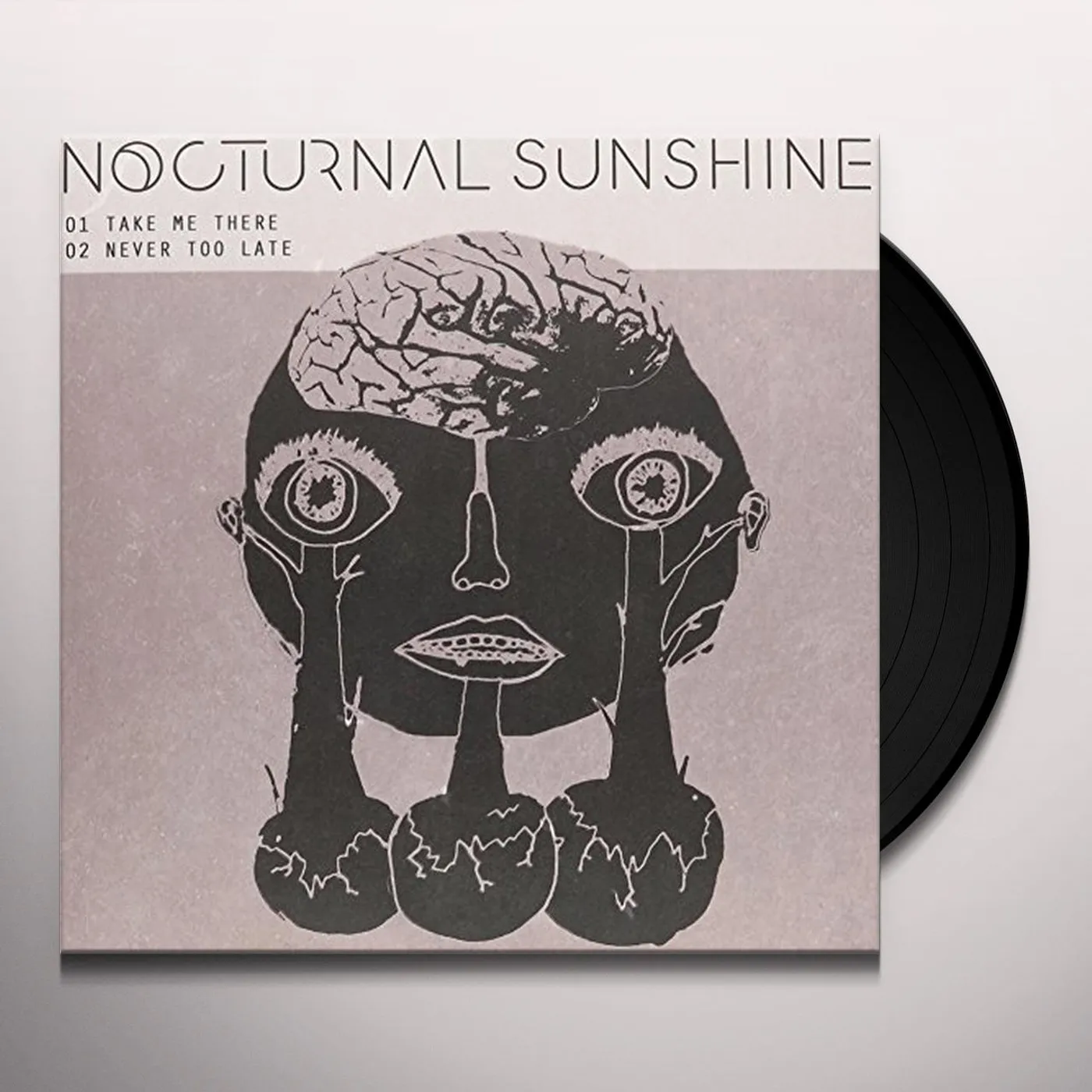 Nocturnal Sunshine Take Me There Vinyl Record