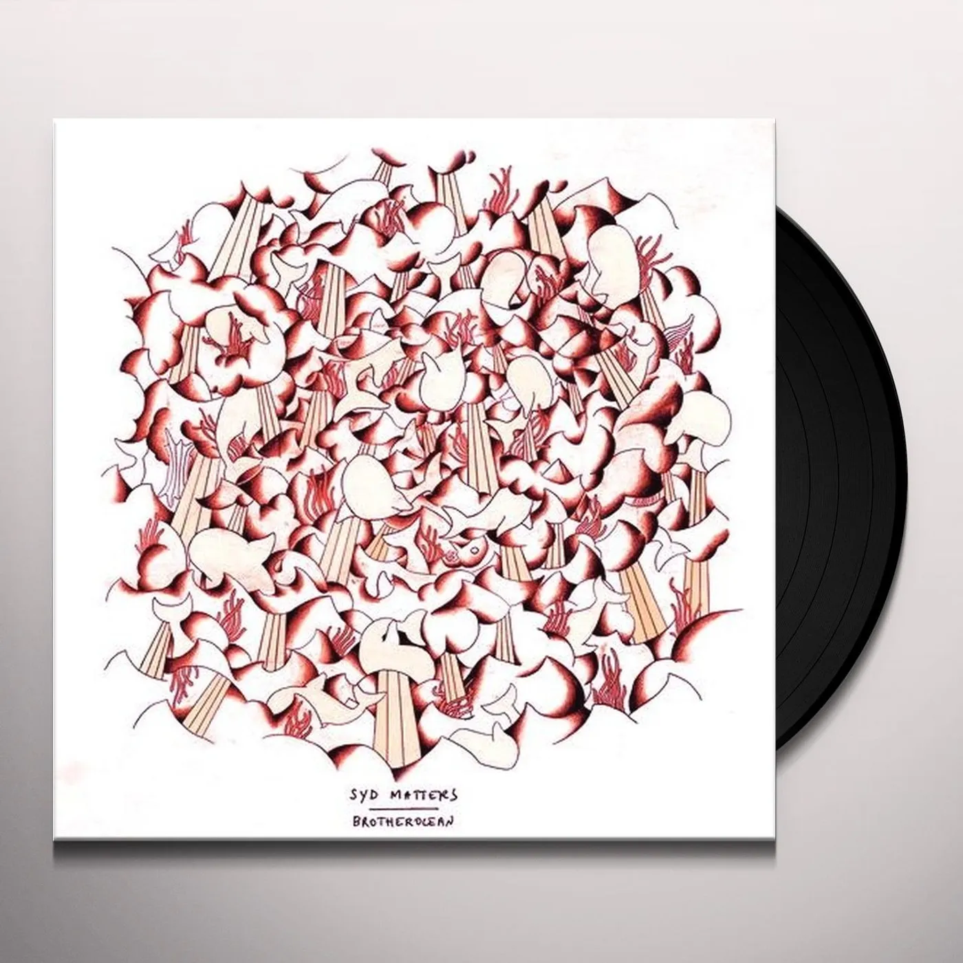 Syd Matters Brotherocean Vinyl Record