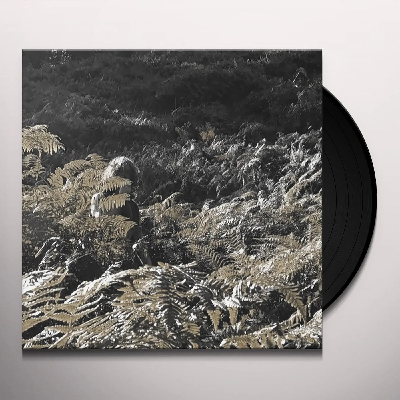 Apostille PRISONERS OF LOVE & HATE Vinyl Record