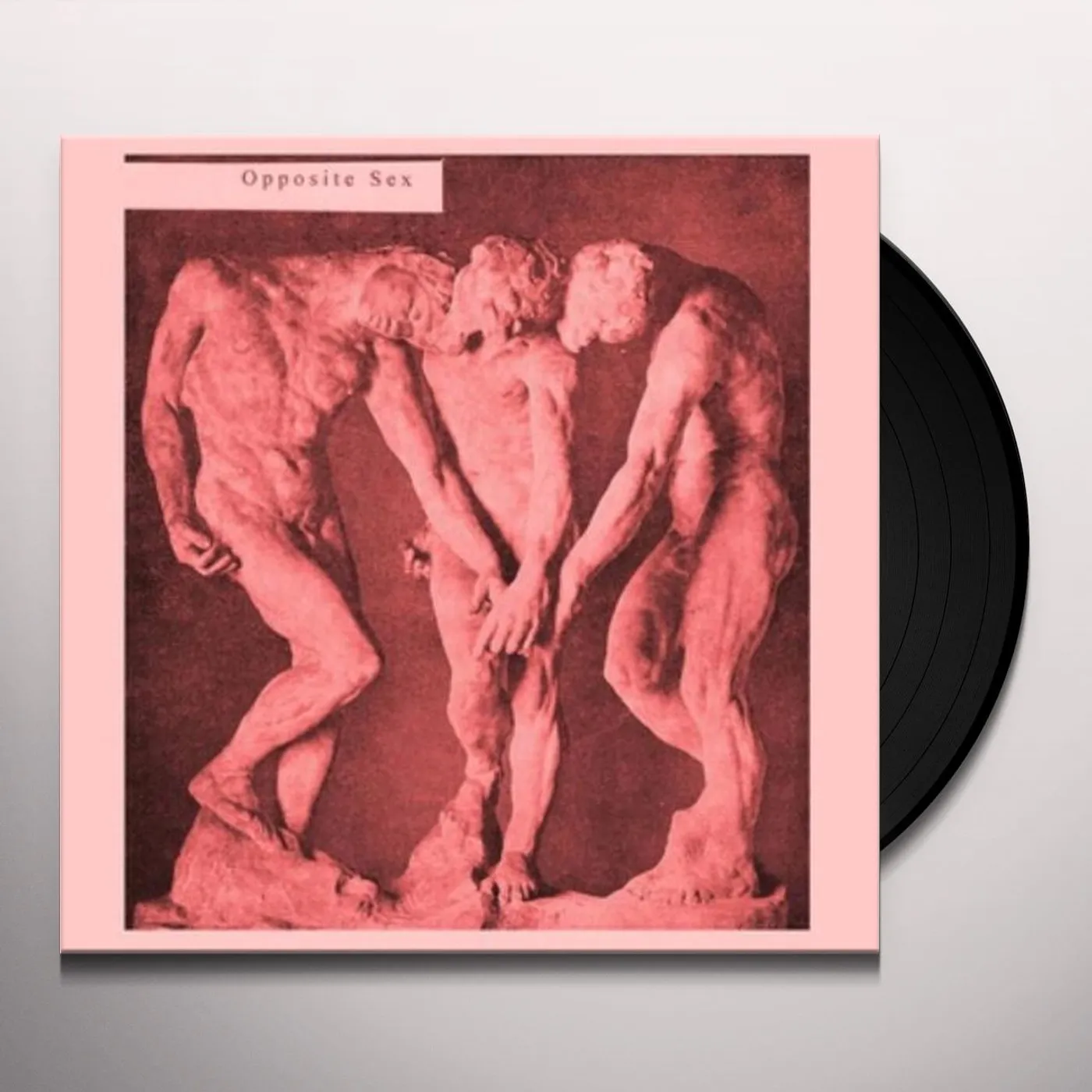 Opposite Sex Vinyl Record