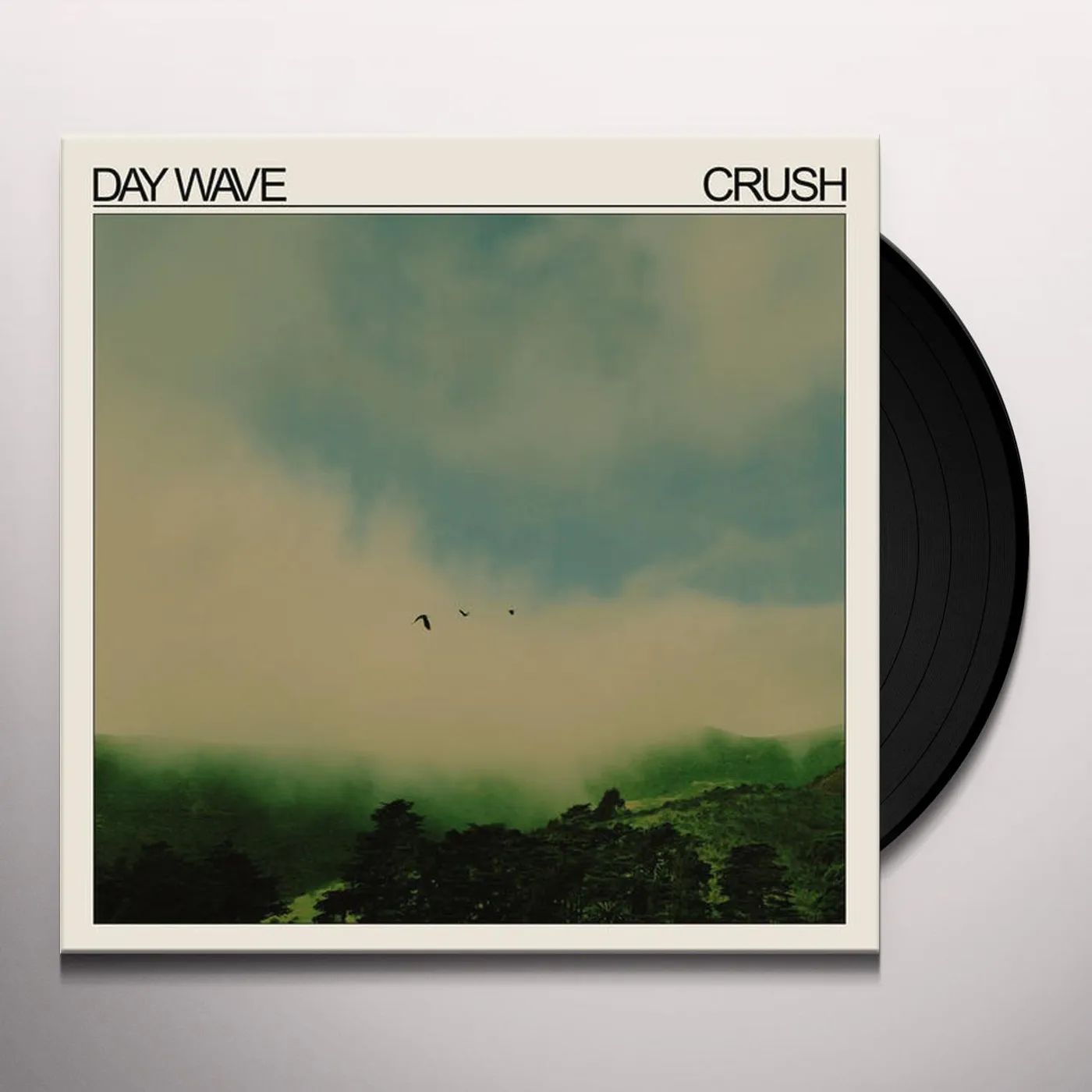 Day Wave Crush Vinyl Record