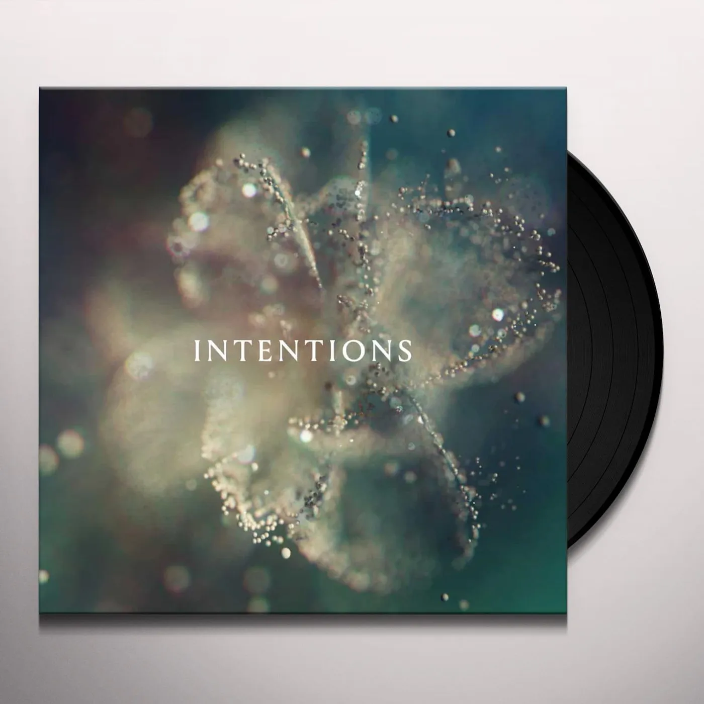 ANNA  INTENTIONS Vinyl Record