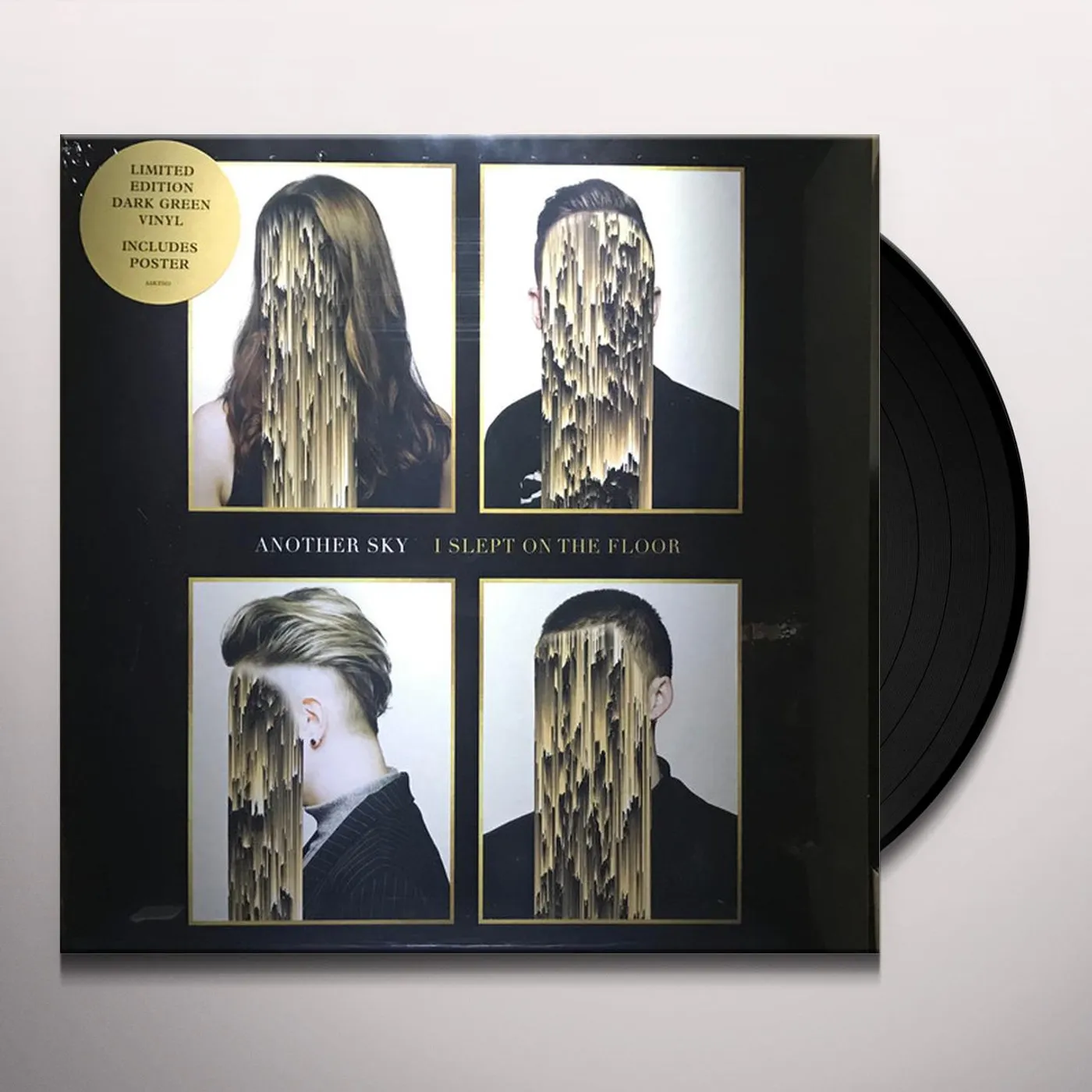 Another Sky I Slept On The Floor Vinyl Record