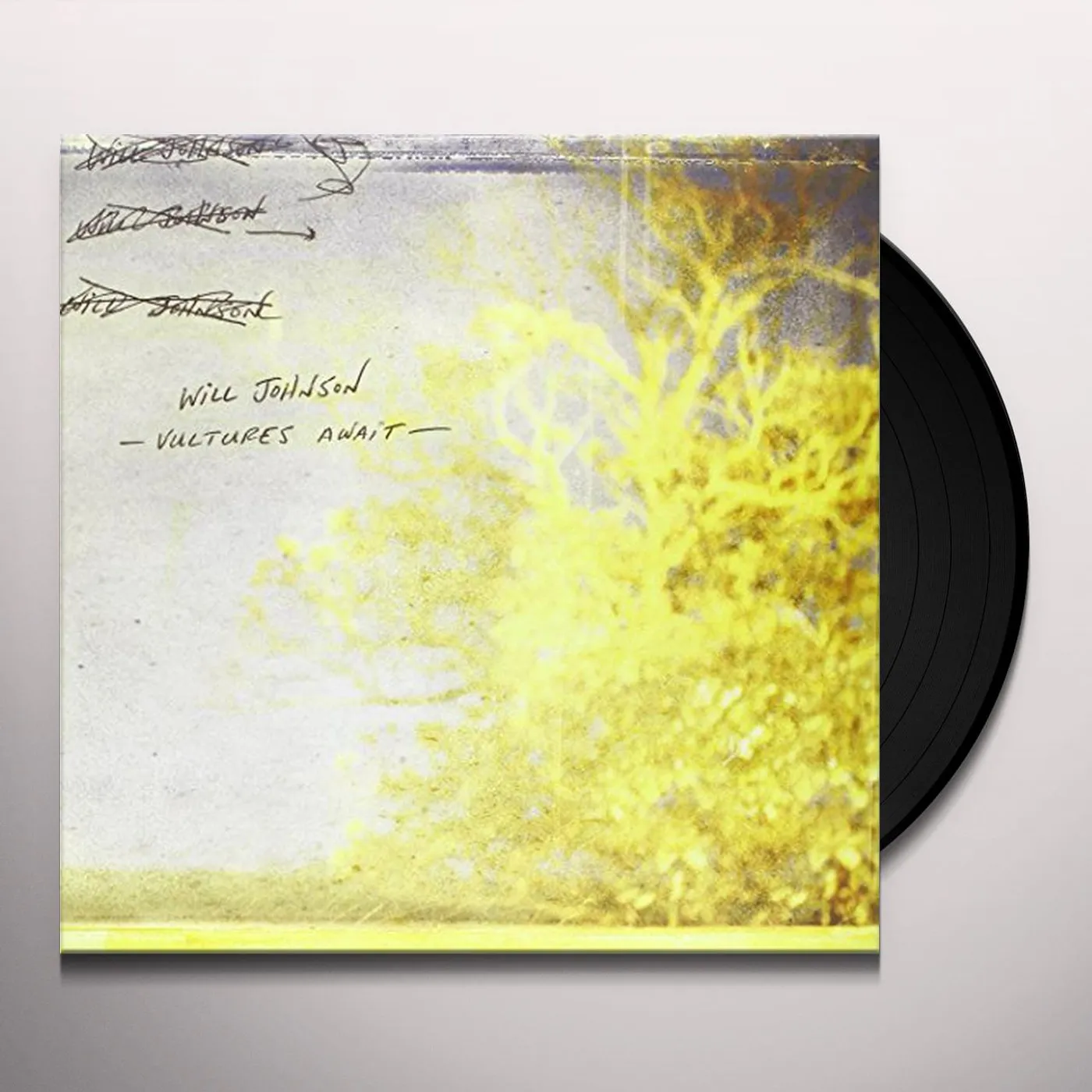 Will Johnson Vultures Await Vinyl Record