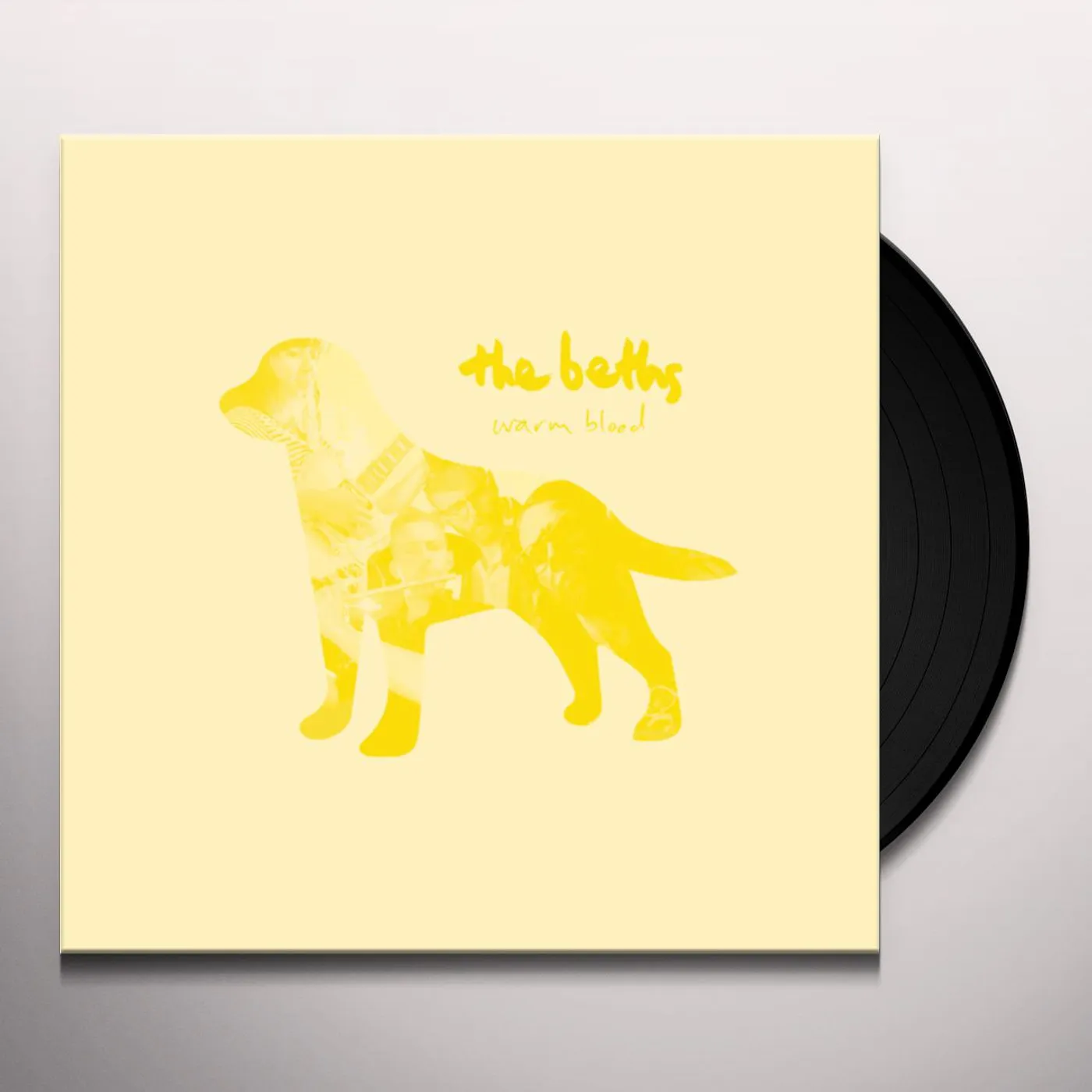 The Beths Warm Blood Vinyl Record