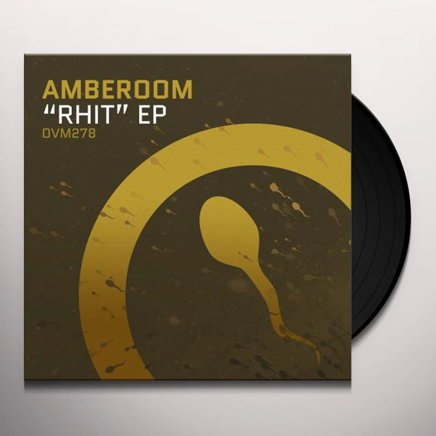 Amberoom RHIT Vinyl Record