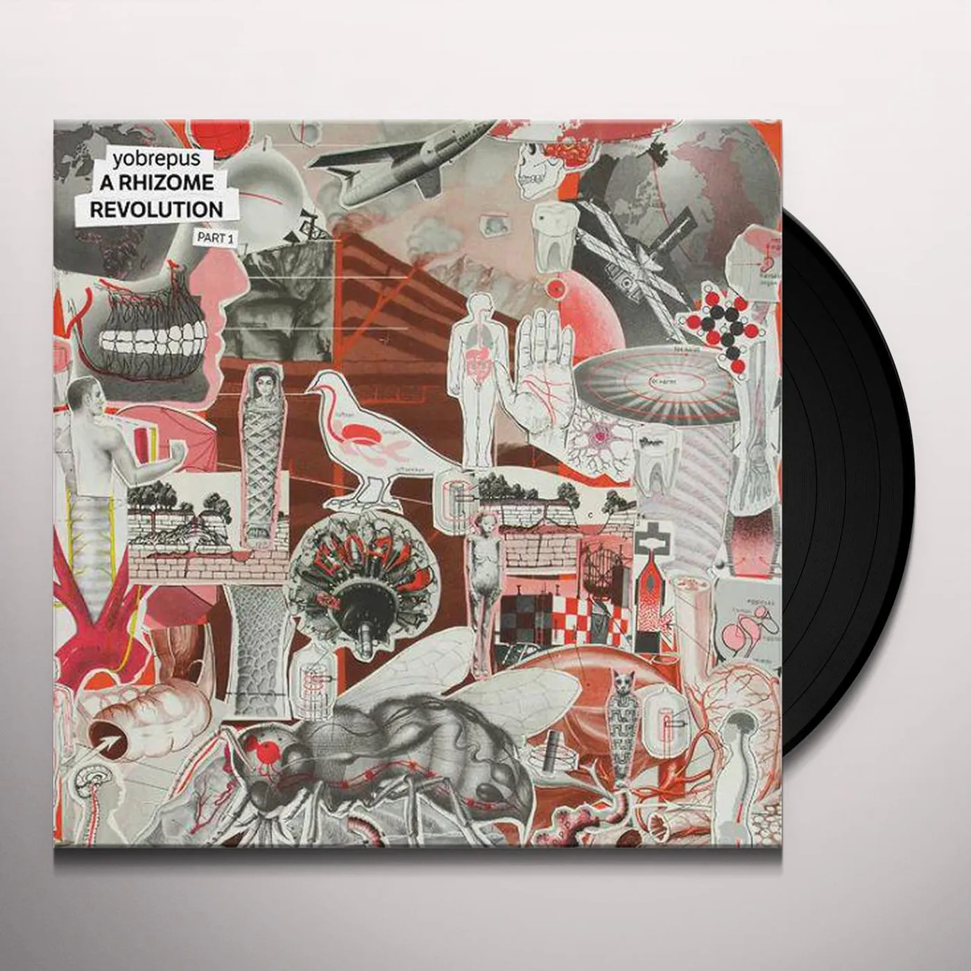 Yobrepus Rhizome Revolution Part 1 Vinyl Record