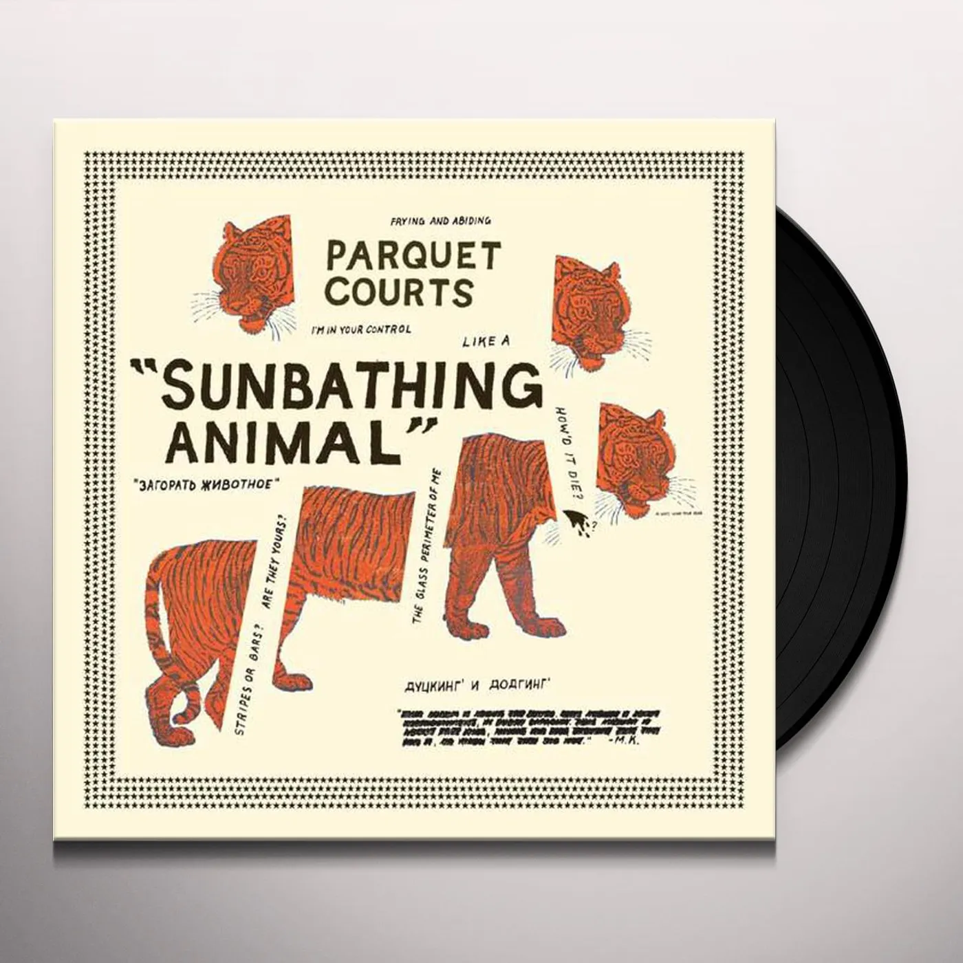 Parquet Courts Sunbathing Animal Vinyl Record