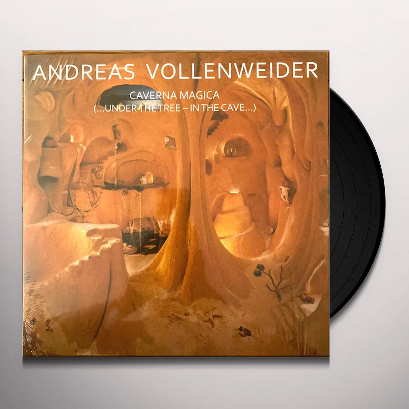 Andreas Vollenweider Caverna Magica (...Under The Tree - In The Cave...) Vinyl Record