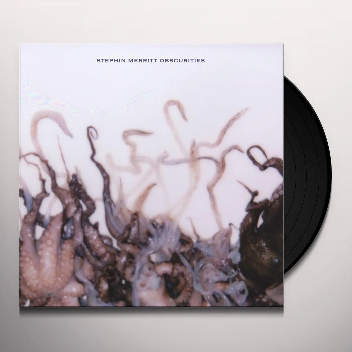 Stephin Merritt Obscurities Vinyl Record