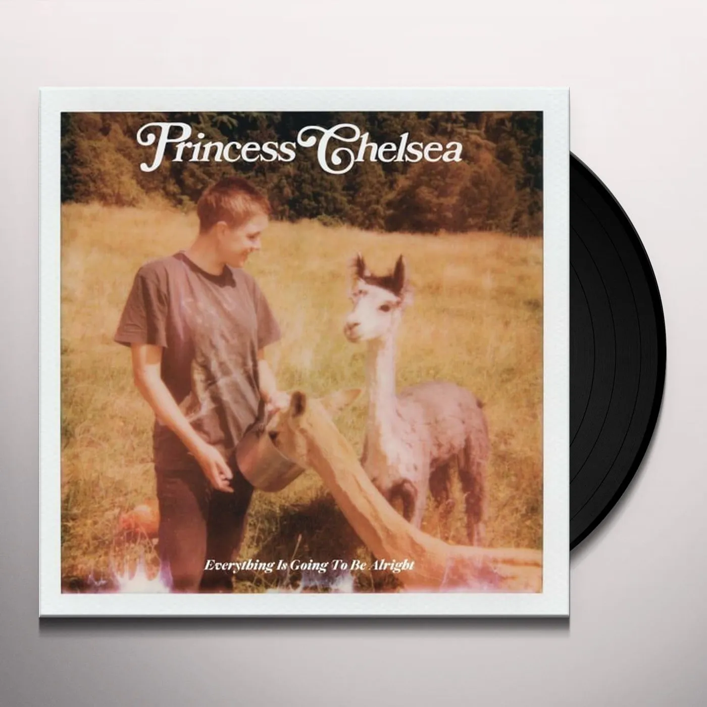 Princess Chelsea Everything Is Going To Be Alright Vinyl Record