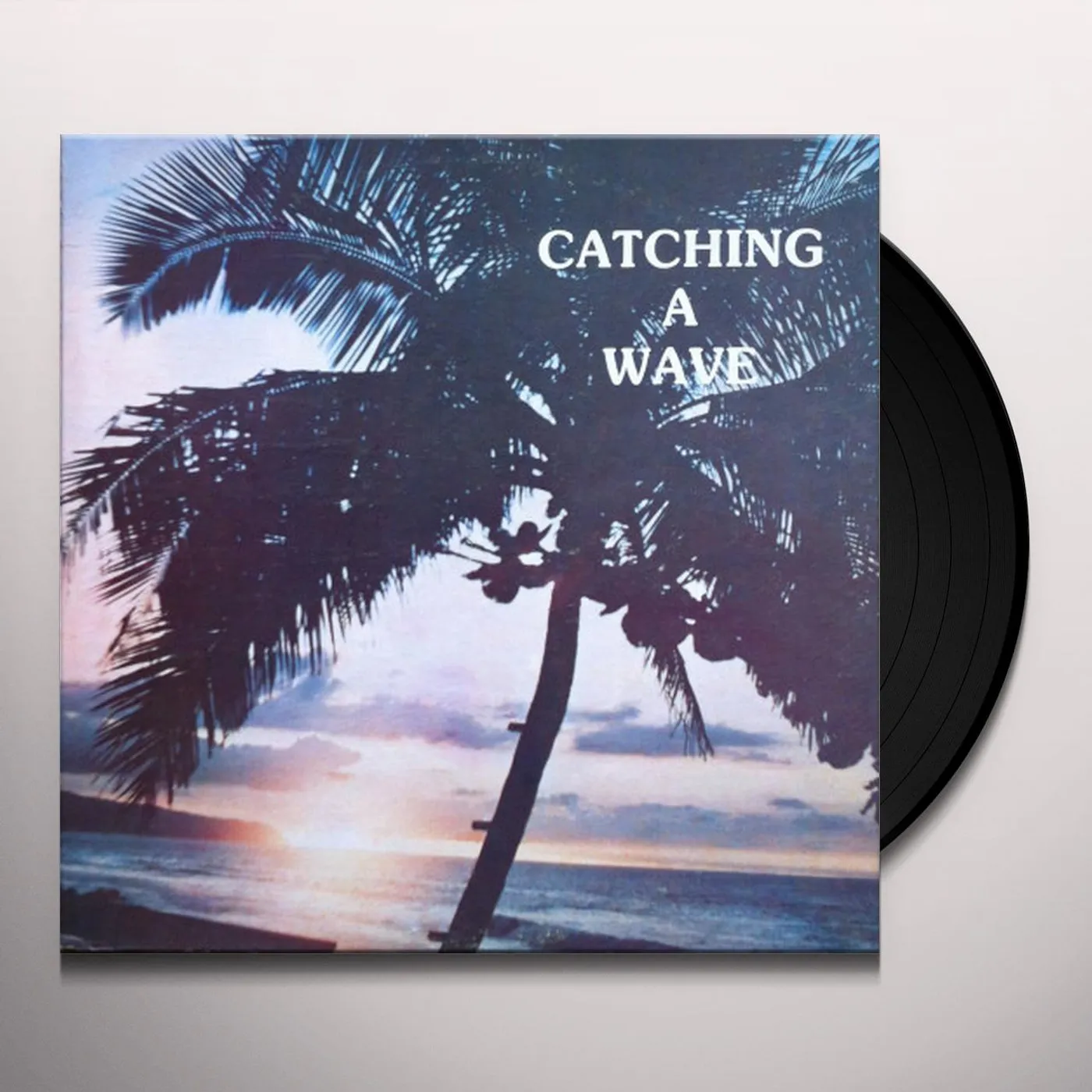 Steve & Teresa Catching A Wave Vinyl Record