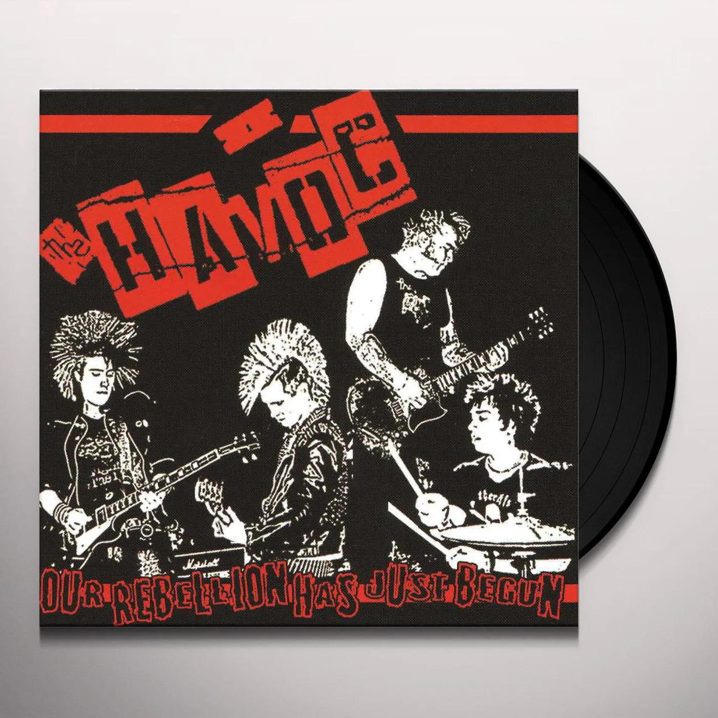 Havoc Our Rebellion Has Just Begun Vinyl Record
