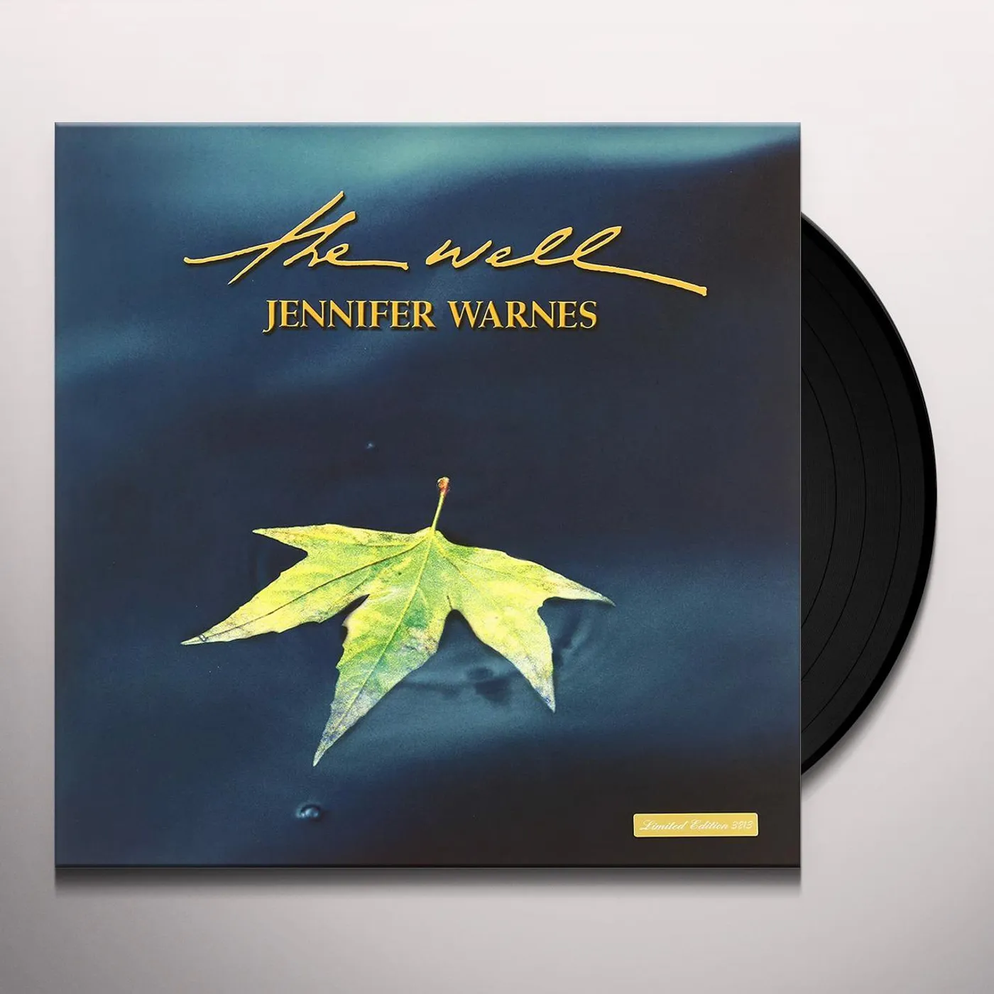 Jennifer Warnes WELL Vinyl Record