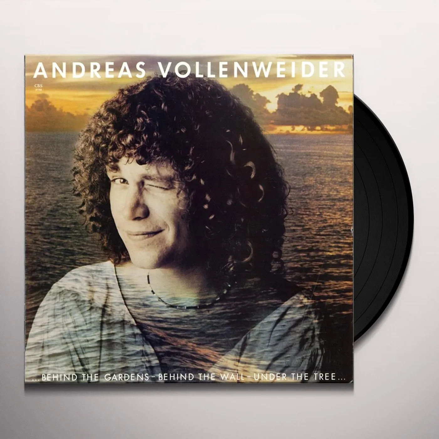 Andreas Vollenweider BEHIND THE GARDENS - BEHIND THE WALL - UNDER Vinyl Record