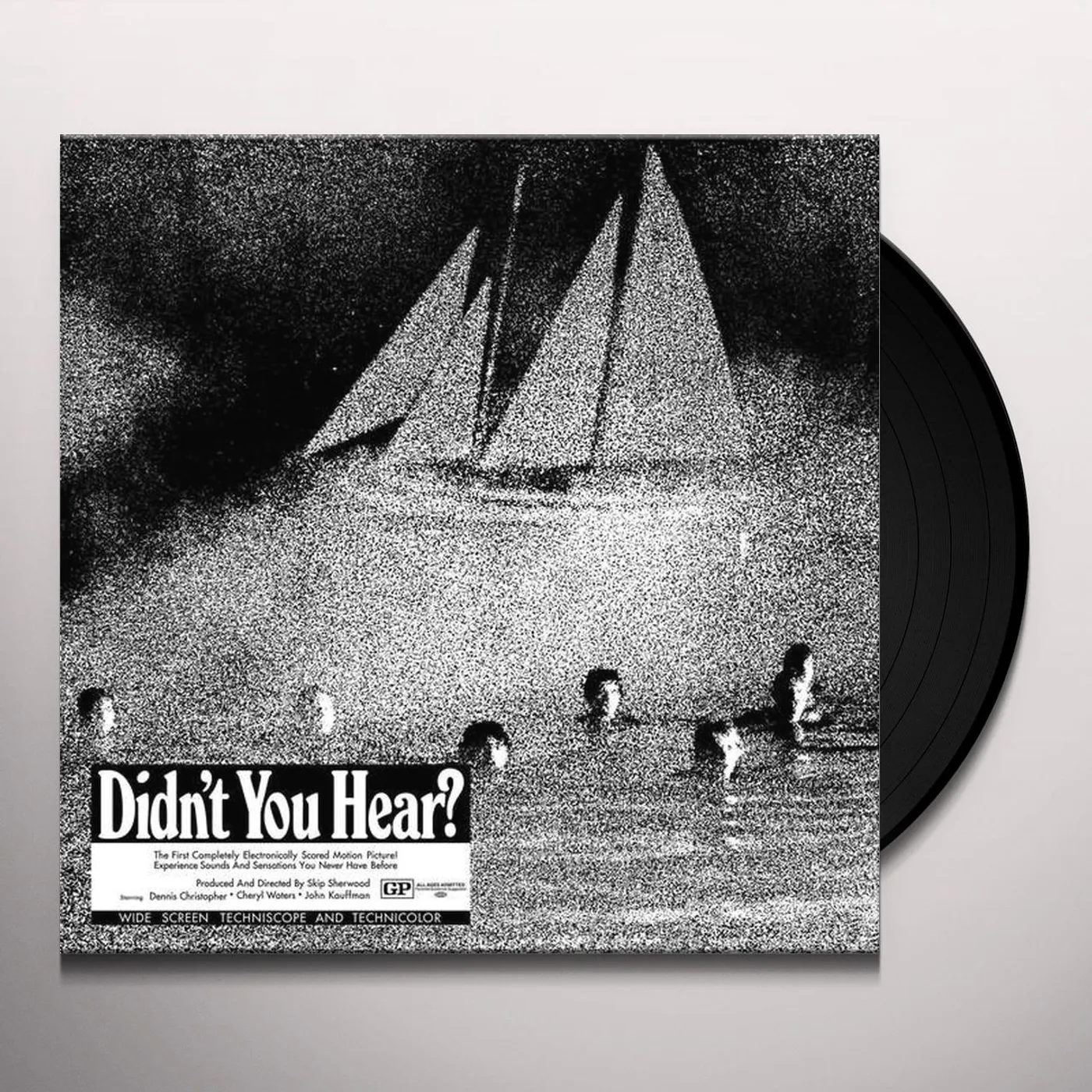 Mort Garson DIDN'T YOU HEAR Vinyl Record