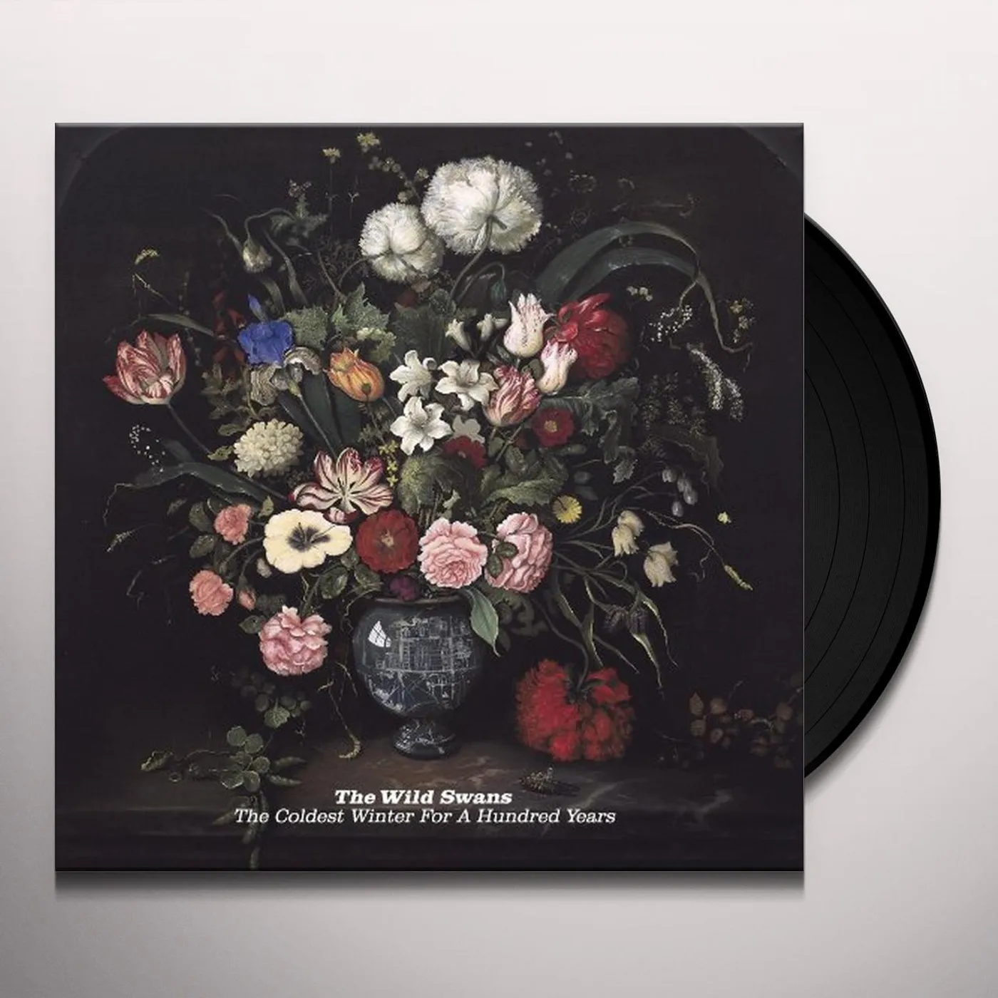 The Wild Swans COLDEST WINTER FOR A HUNDRED YEARS (DELUXE) Vinyl Record