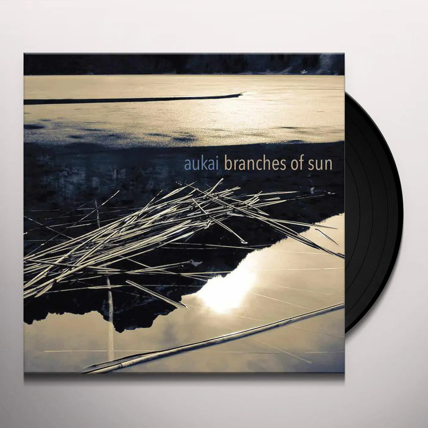 Aukai Branches of Sun Vinyl Record