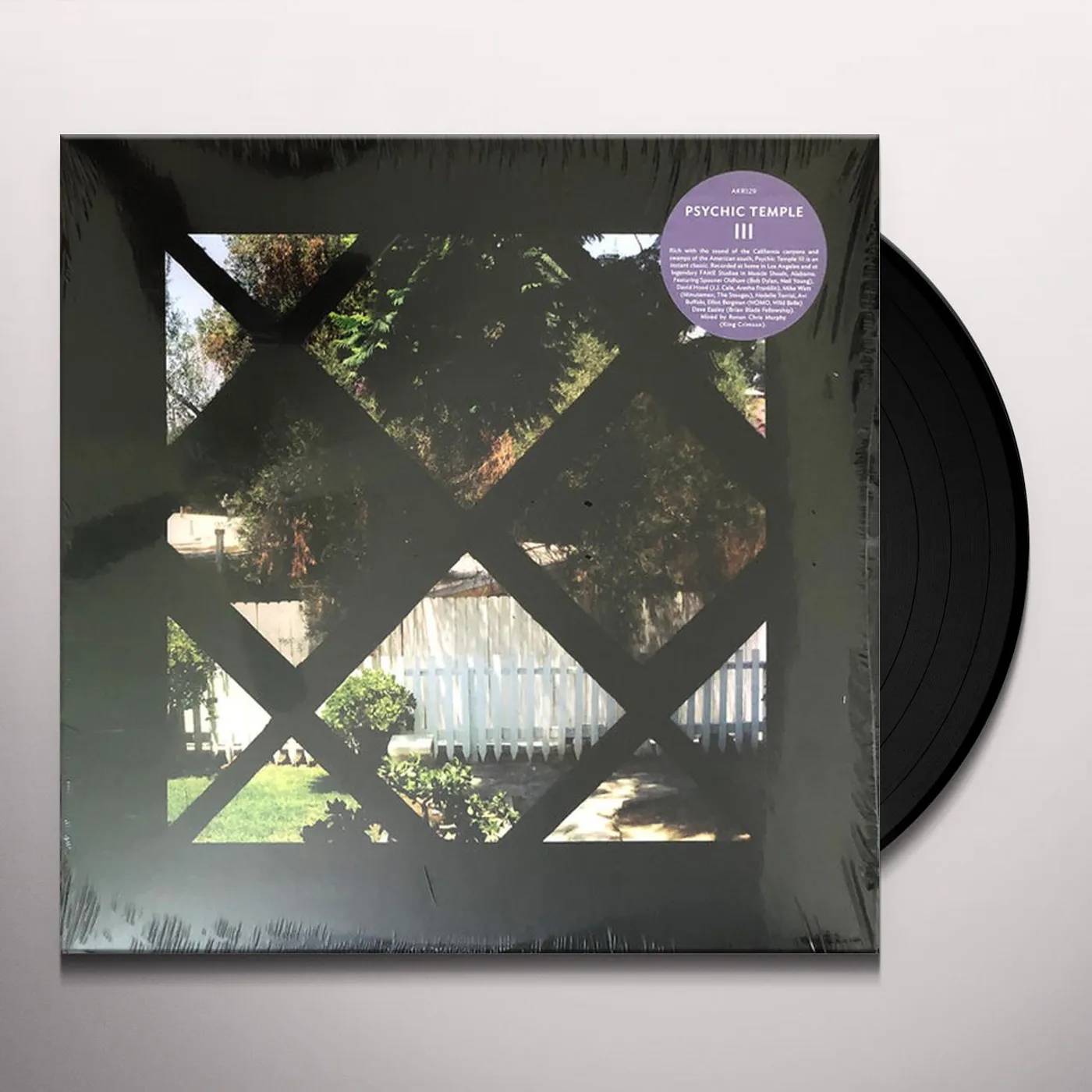 Psychic Temple III Vinyl Record