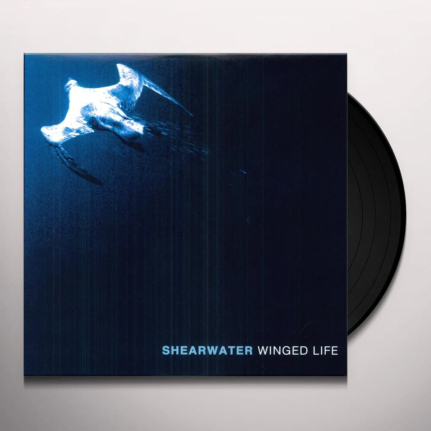 Shearwater Winged Life Vinyl Record
