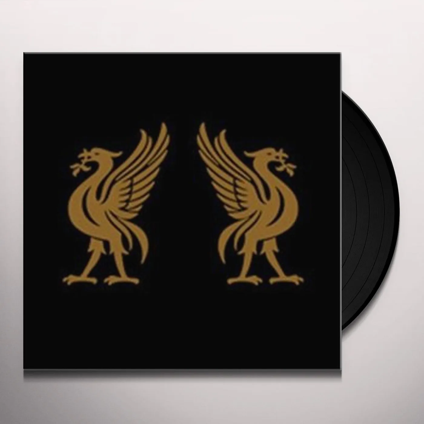 Jon Snodgrass Liverbirds Vinyl Record