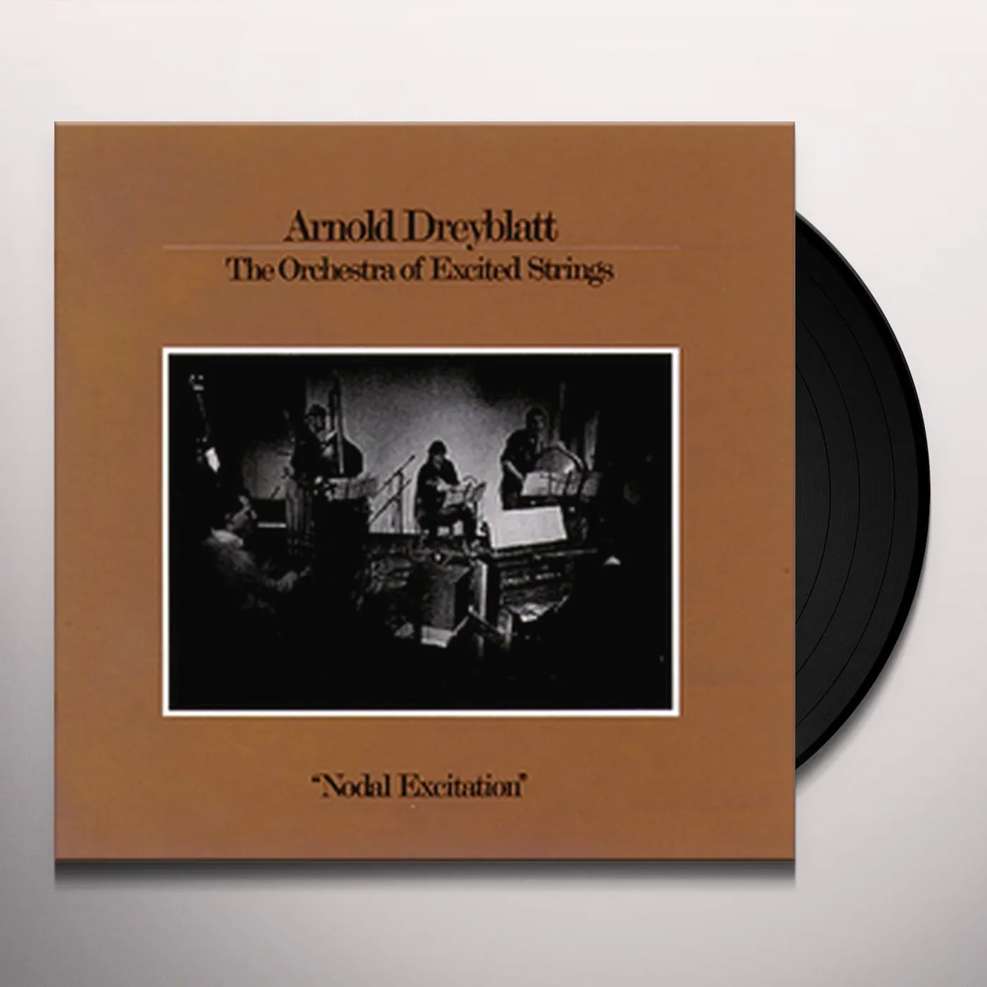 Arnold Dreyblatt NODAL EXCITATION Vinyl Record