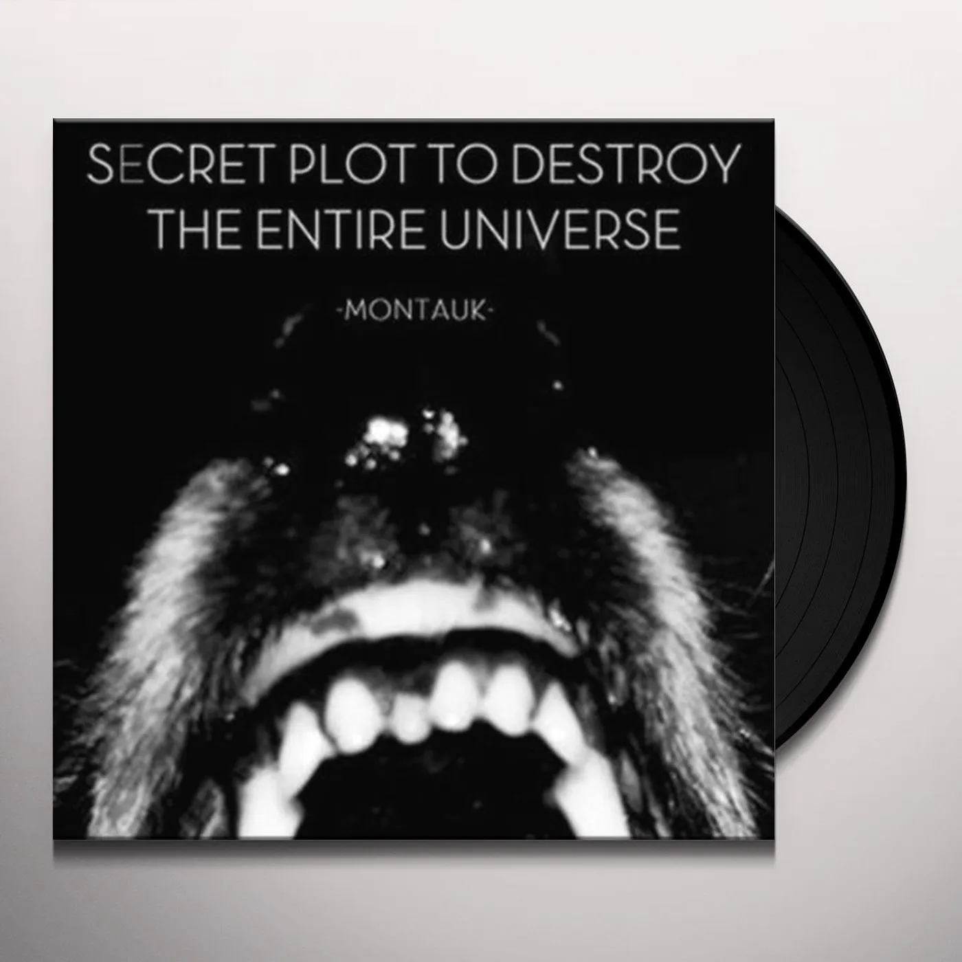 Secret Plot to Destroy the Entire Universe Montauk Vinyl Record