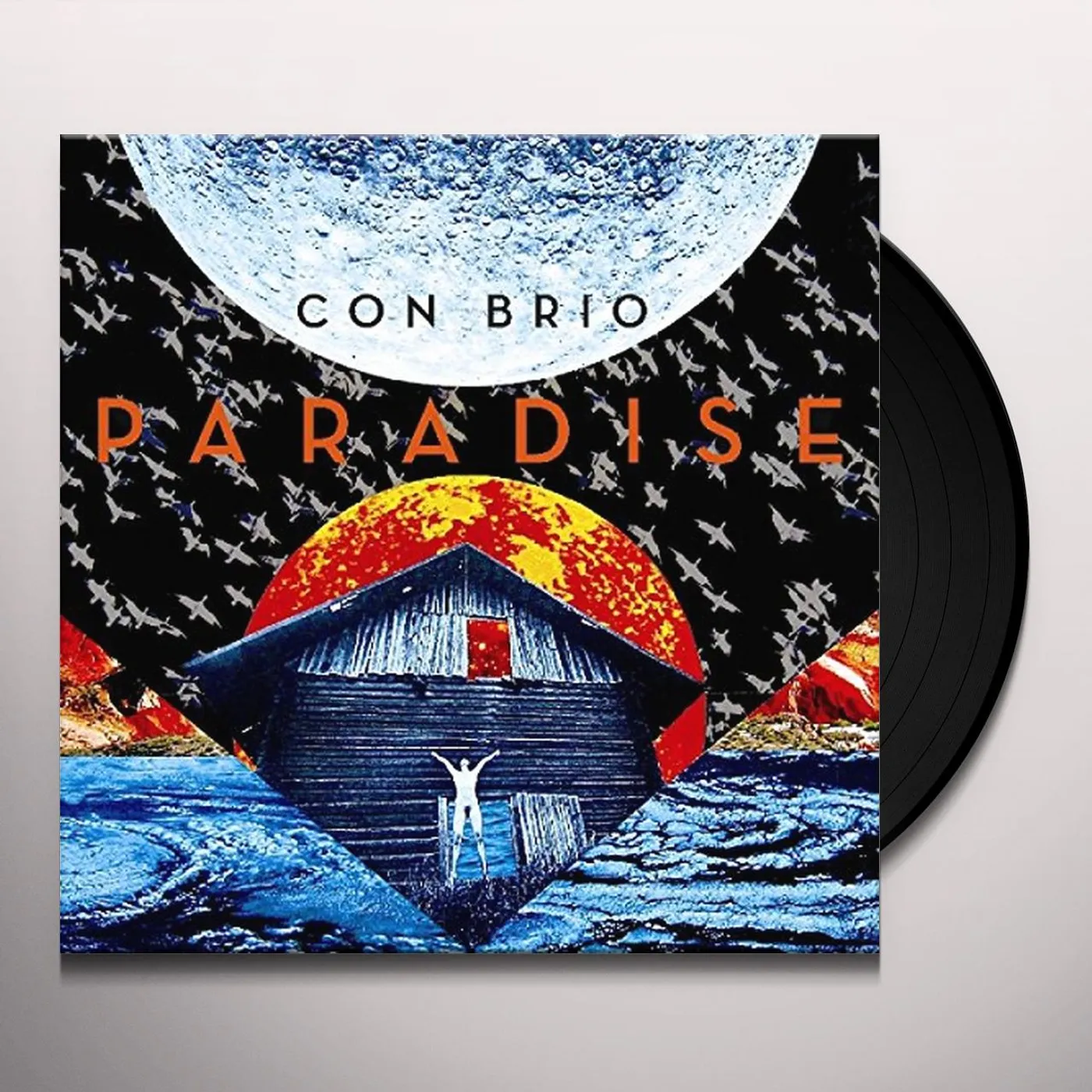 Con Brio Paradise Vinyl Record