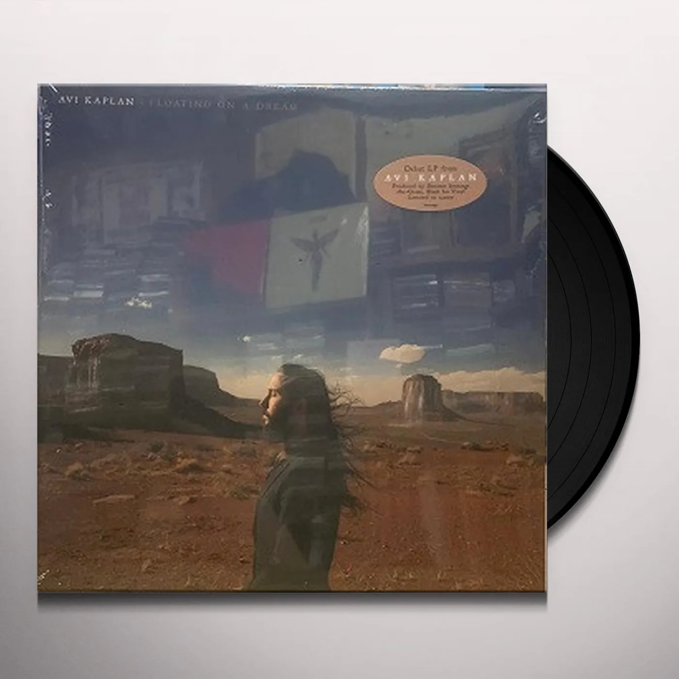 Avi Kaplan Floating On A Dream Vinyl Record