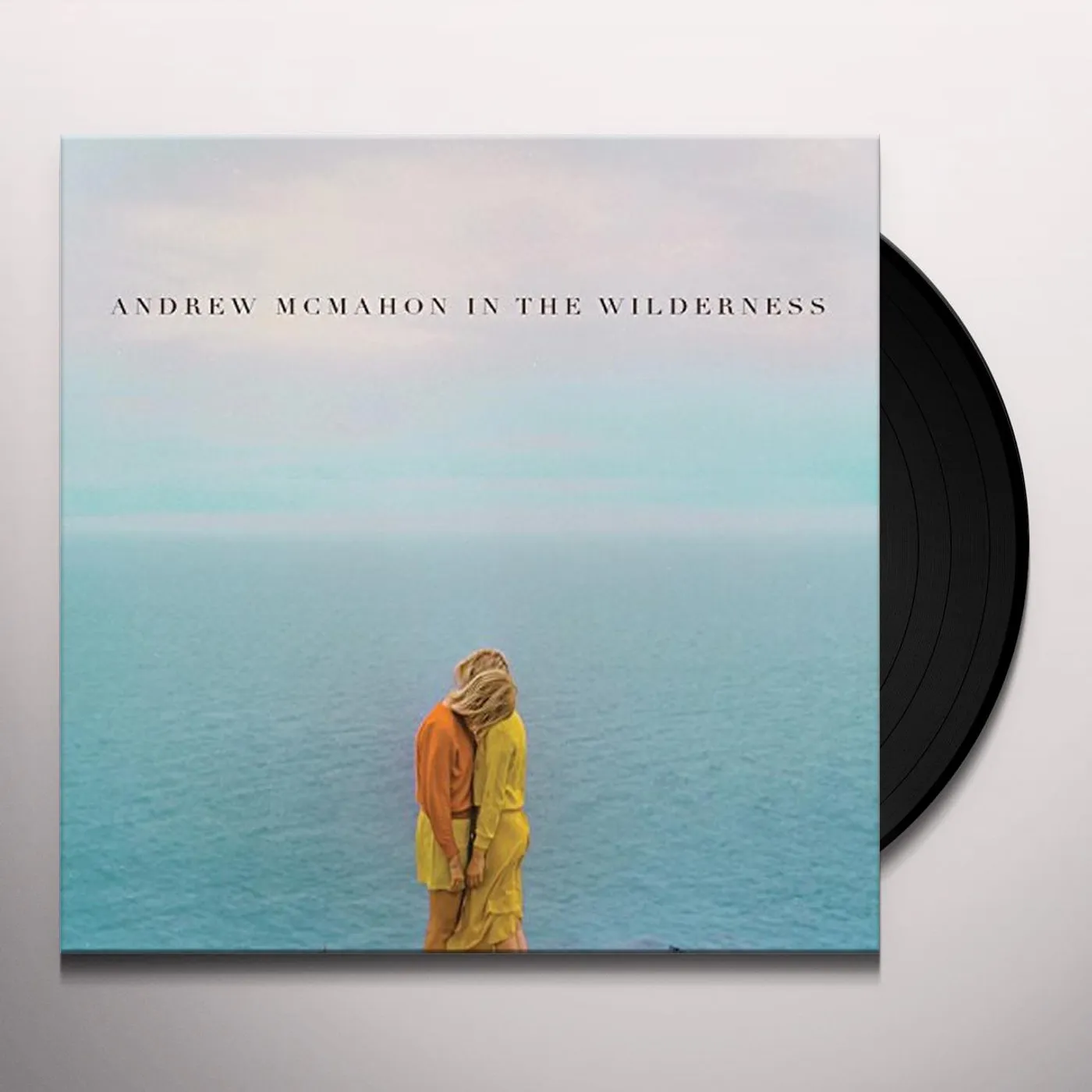Andrew McMahon In The Wilderness Vinyl Record