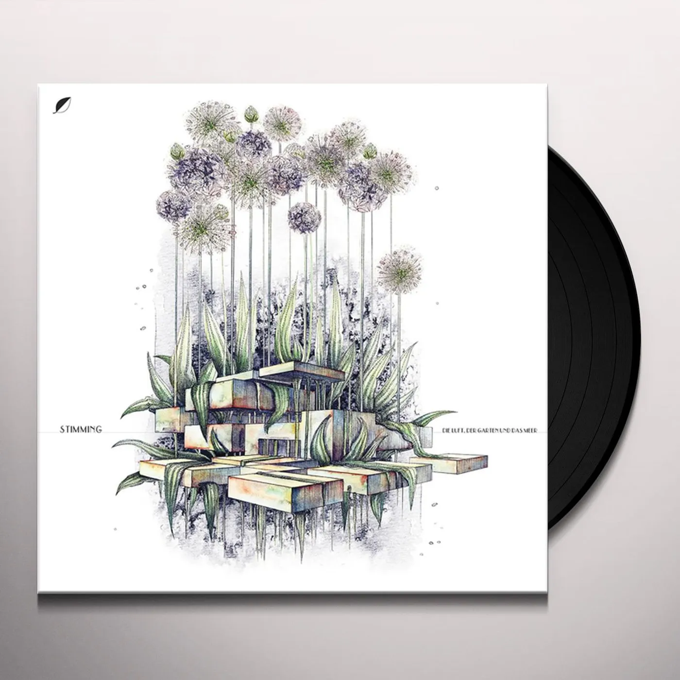 Valentin Stip Angst Vinyl Record