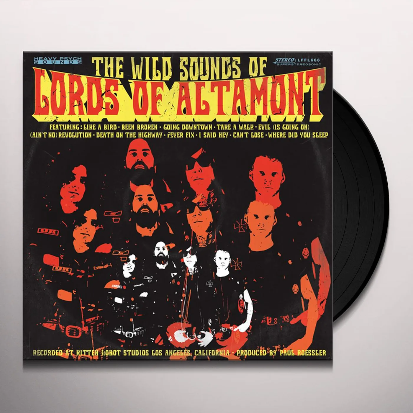 WILD SOUNDS OF The Lords of Altamont Vinyl Record
