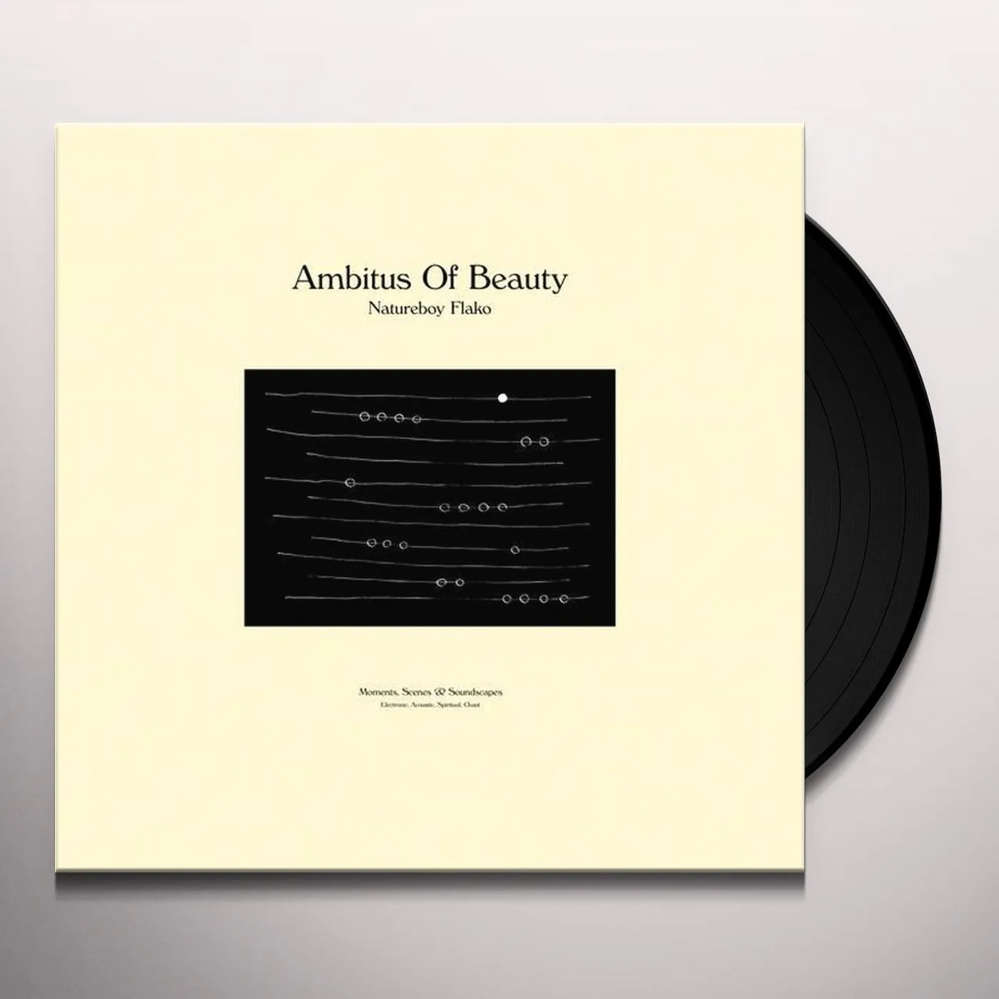 Natureboy Flako Ambitus of Beauty Vinyl Record