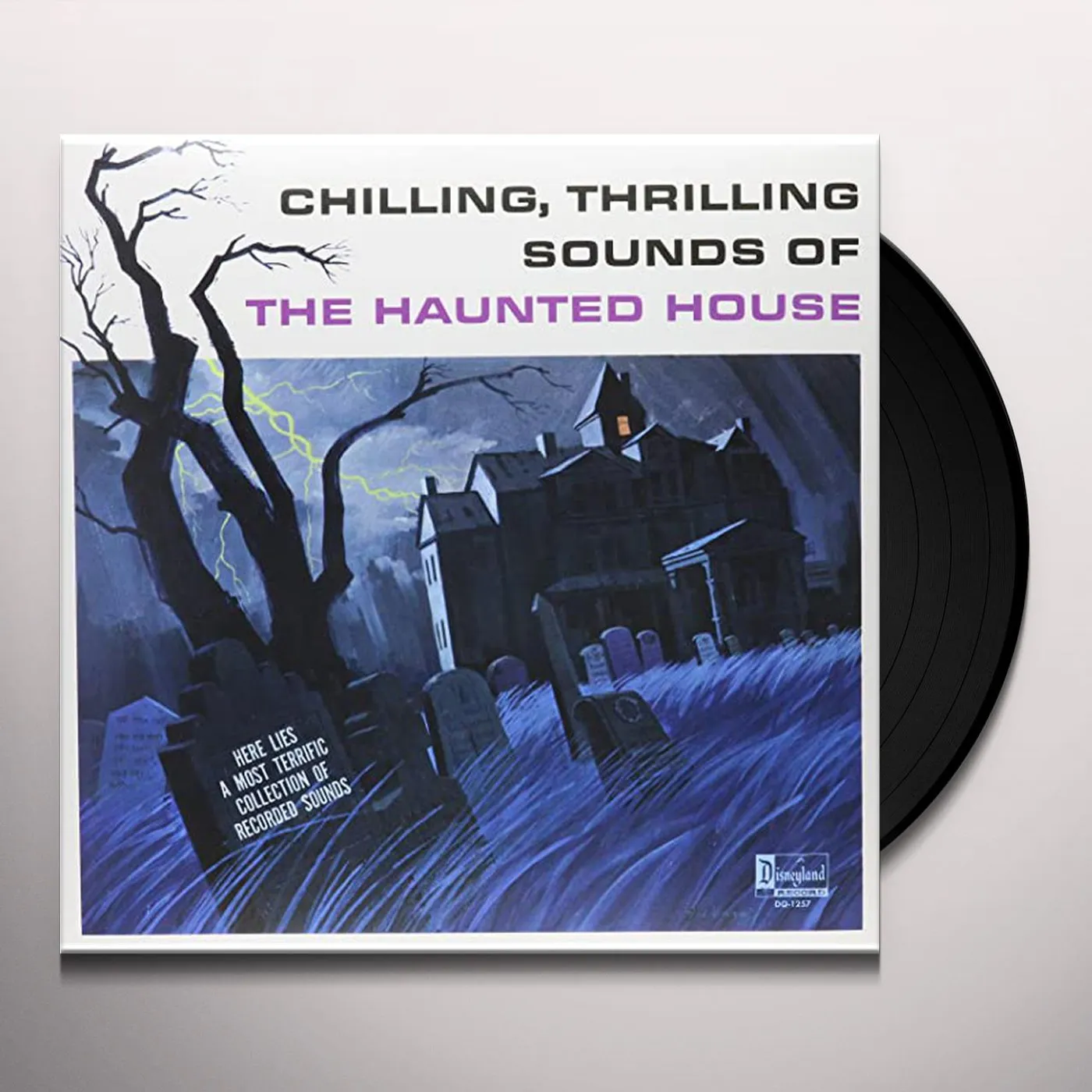 Various Artists  CHILLING THRILLING SOUNDS OF THE HAUNTED HOUSE / VAR Vinyl Record
