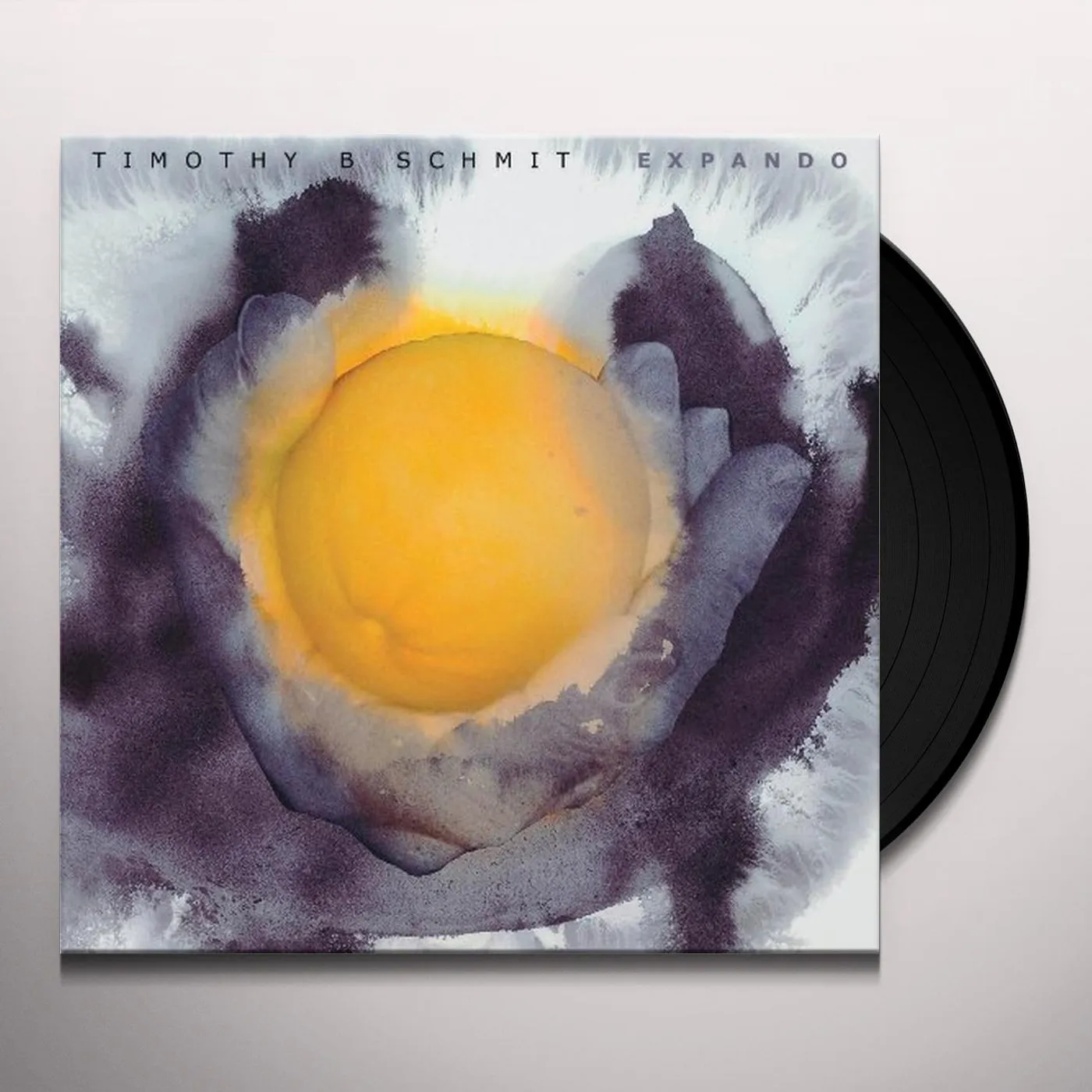 Timothy B. Schmit EXPANDO Vinyl Record - Special Packaging
