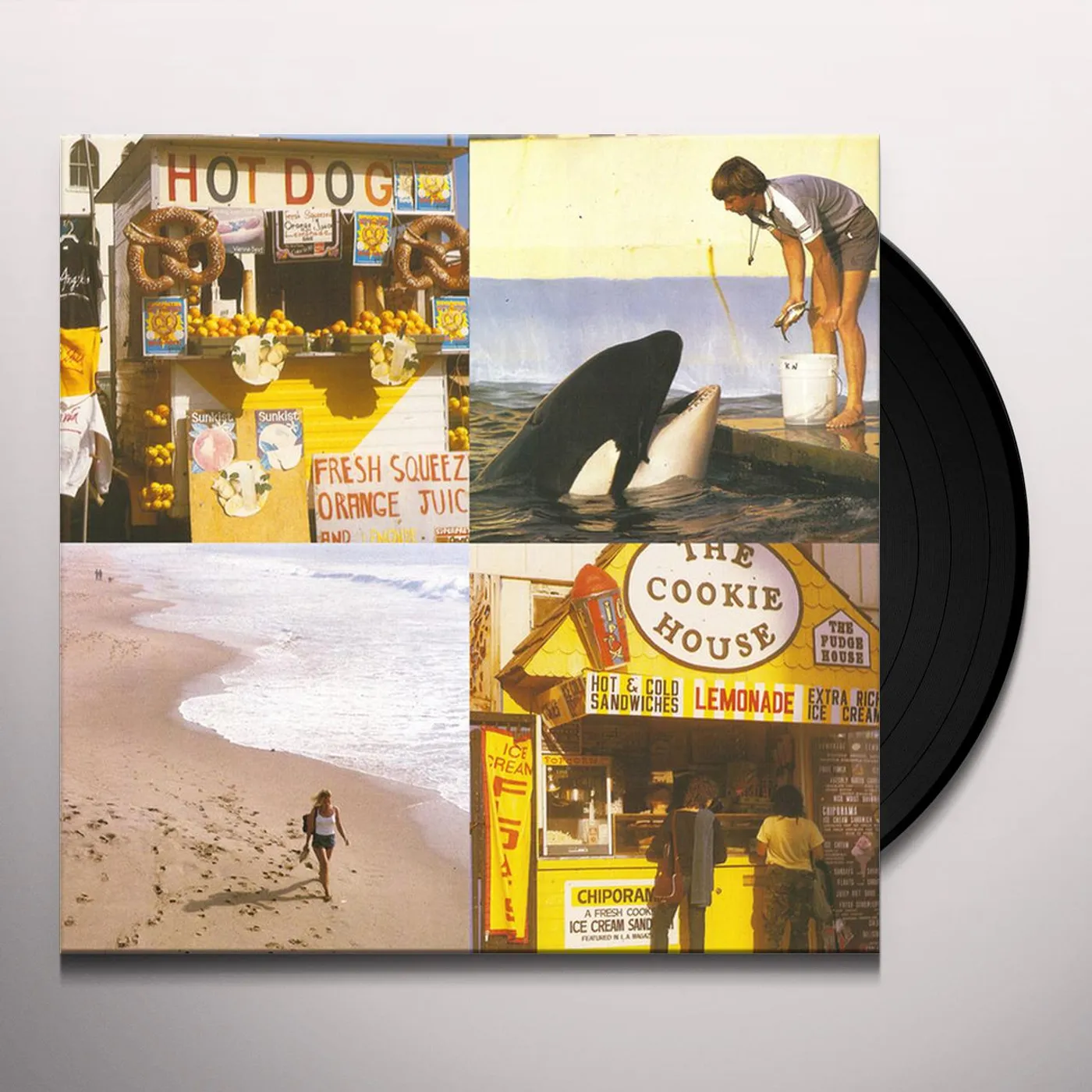 Best Coast Something In The Way Vinyl Record