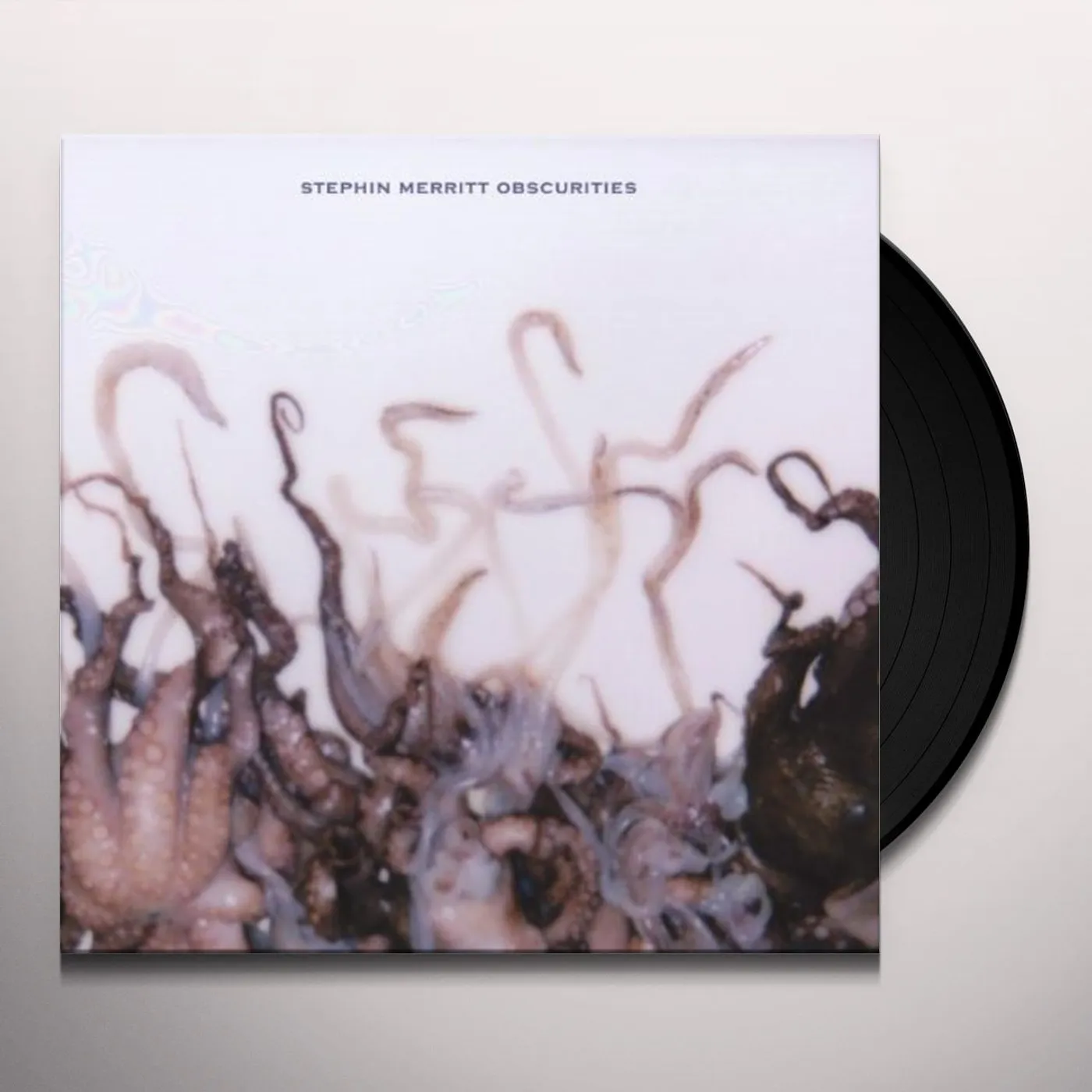 Stephin Merritt Obscurities Vinyl Record