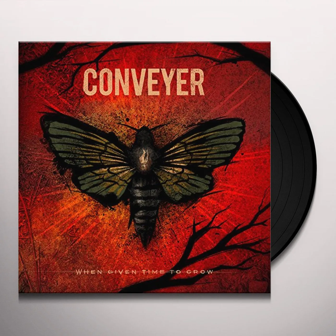 Conveyer When Given Time to Grow Vinyl Record