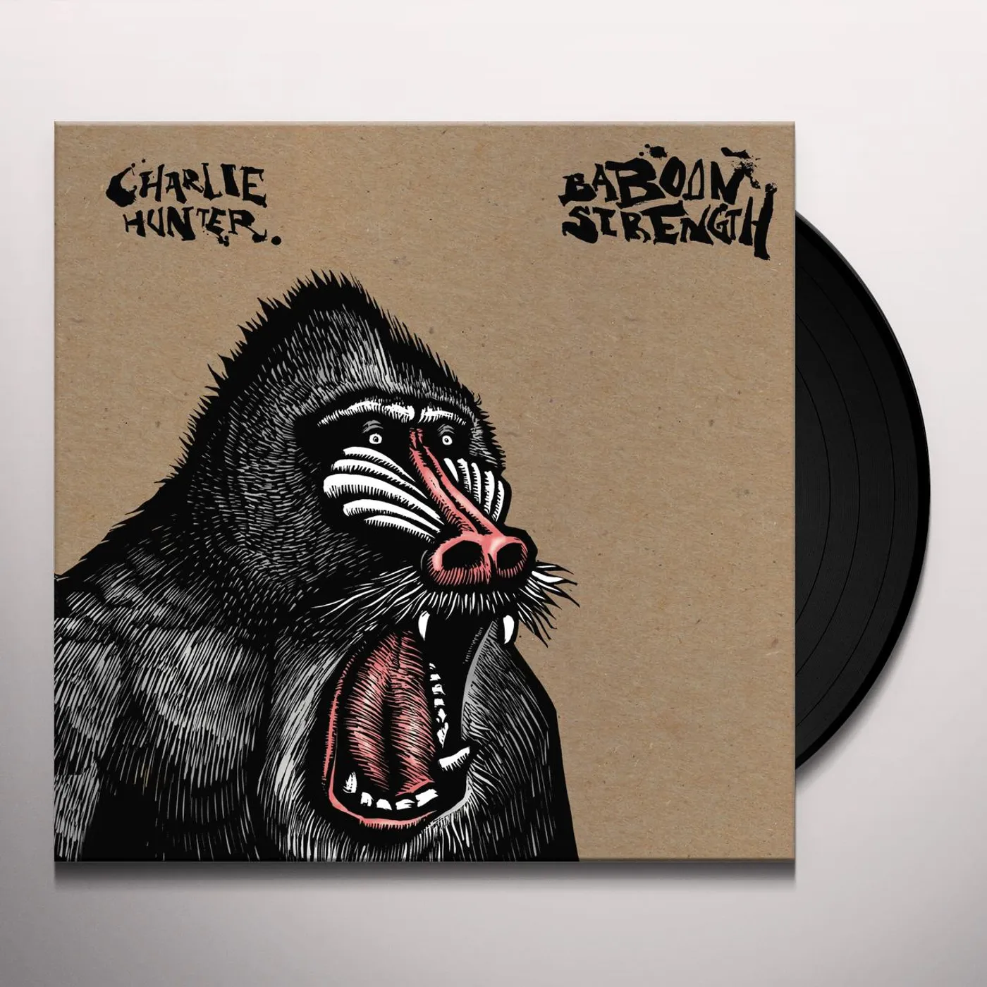 Charlie Hunter Baboon Strength Vinyl Record